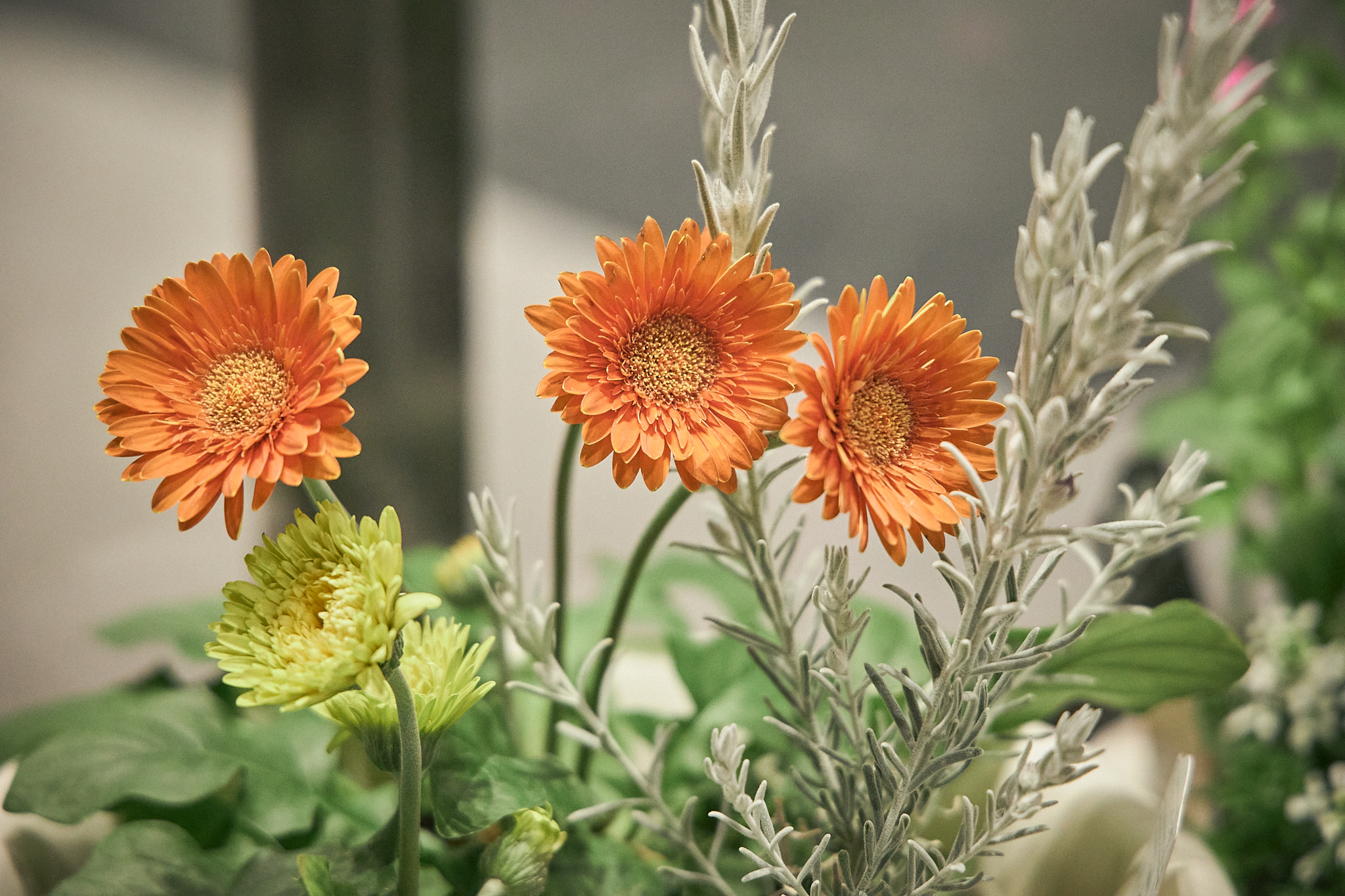 3月理事会・第1例会（東海ライオンズクラブ・ひたちなかベストライオンズクラブ合同例会）茨城県 東海村 ひたちなか市 ライオンズクラブ