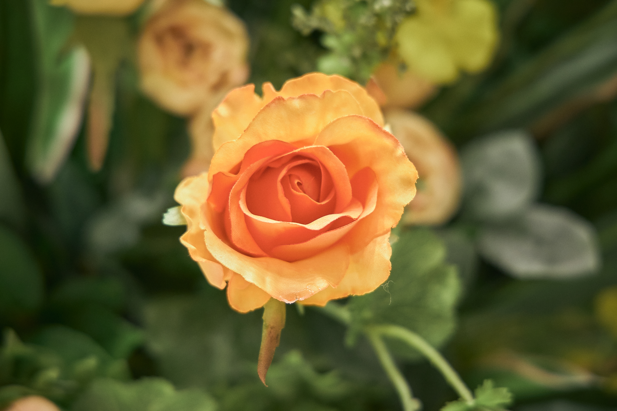 3月理事会・第1例会（東海ライオンズクラブ・ひたちなかベストライオンズクラブ合同例会）茨城県 東海村 ひたちなか市 ライオンズクラブ