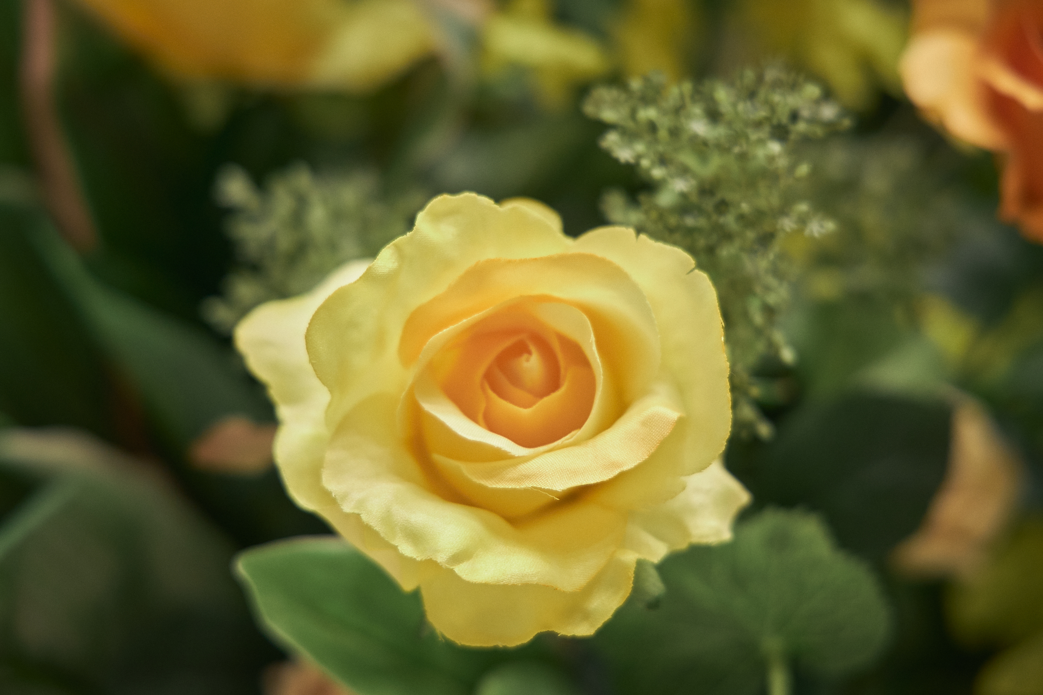 3月理事会・第1例会（東海ライオンズクラブ・ひたちなかベストライオンズクラブ合同例会）茨城県 東海村 ひたちなか市 ライオンズクラブ