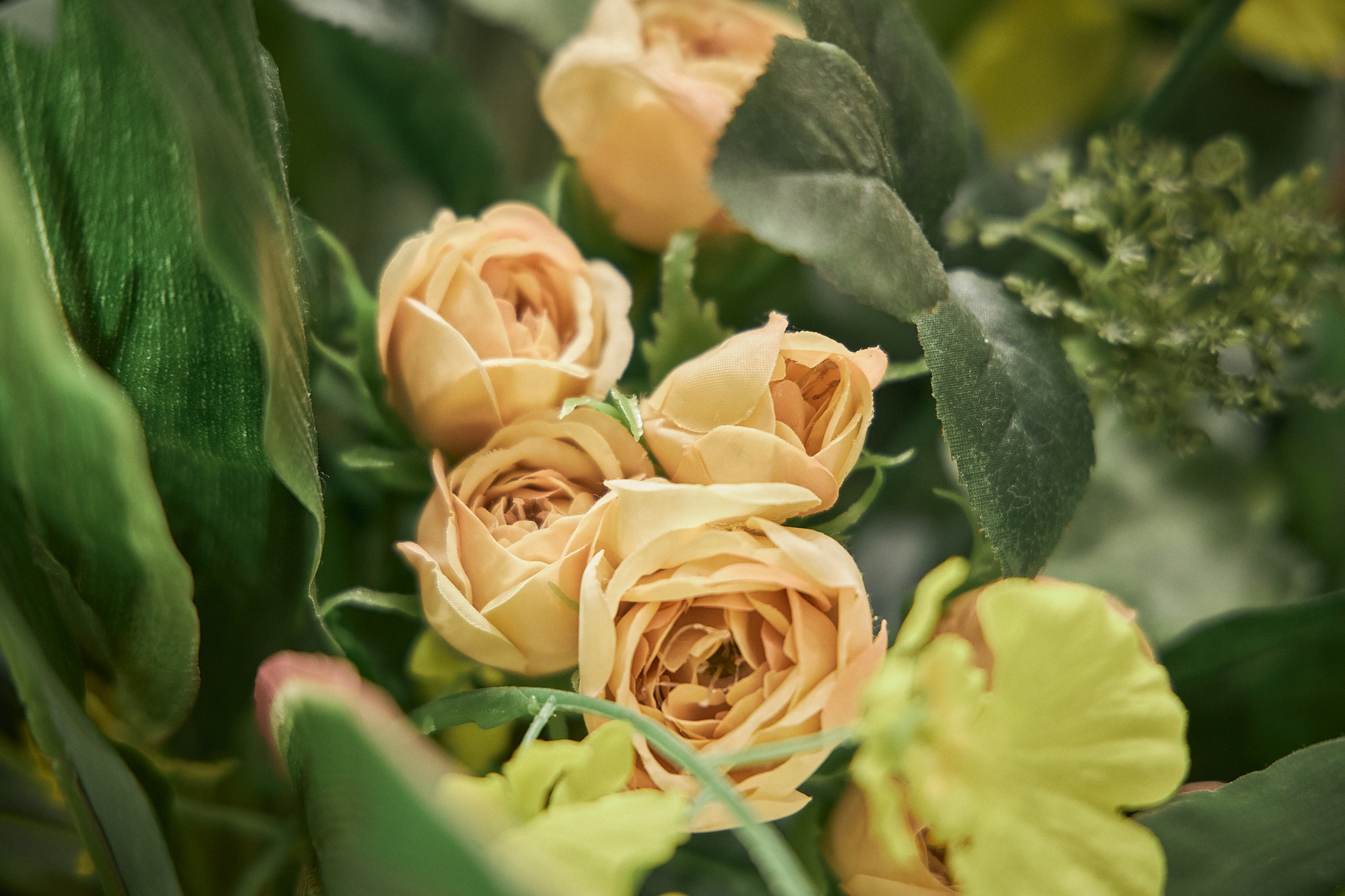 3月理事会・第1例会（東海ライオンズクラブ・ひたちなかベストライオンズクラブ合同例会）茨城県 東海村 ひたちなか市 ライオンズクラブ