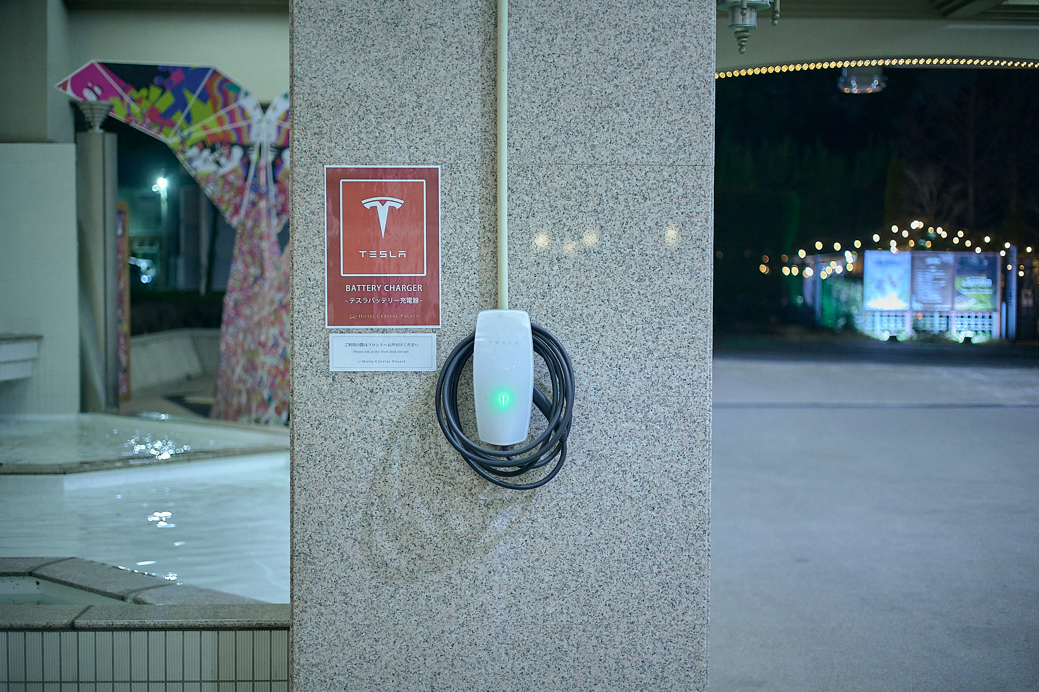 3月第2例会（第28回さくらまつり）ひたちなかベストライオンズクラブ 茨城 ひたちなか ライオンズクラブ