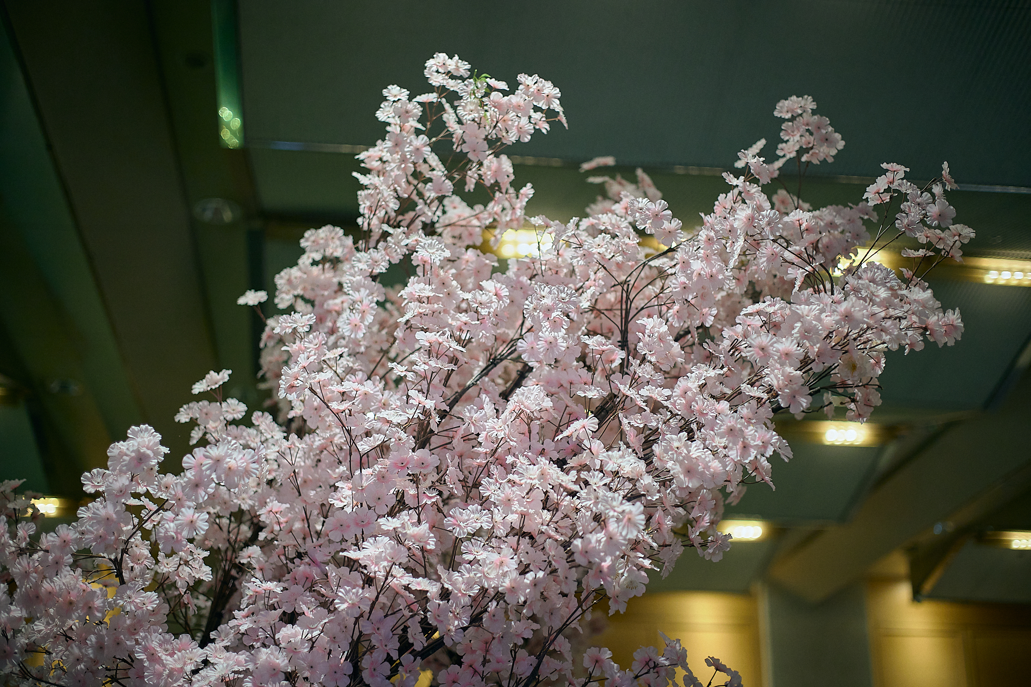 3月第2例会（第28回さくらまつり）ひたちなかベストライオンズクラブ 茨城 ひたちなか ライオンズクラブ