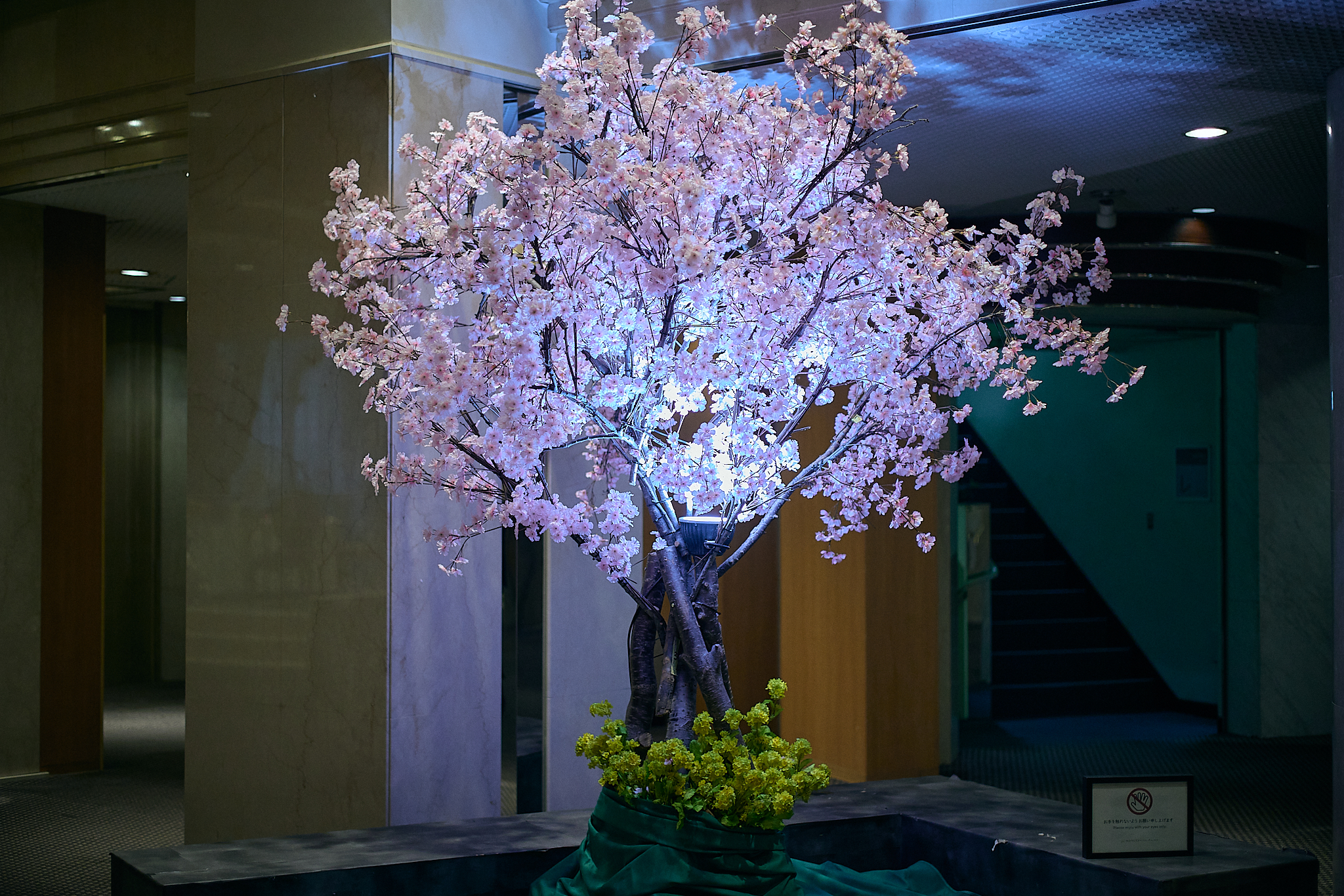 3月第2例会（第28回さくらまつり）ひたちなかベストライオンズクラブ 茨城 ひたちなか ライオンズクラブ