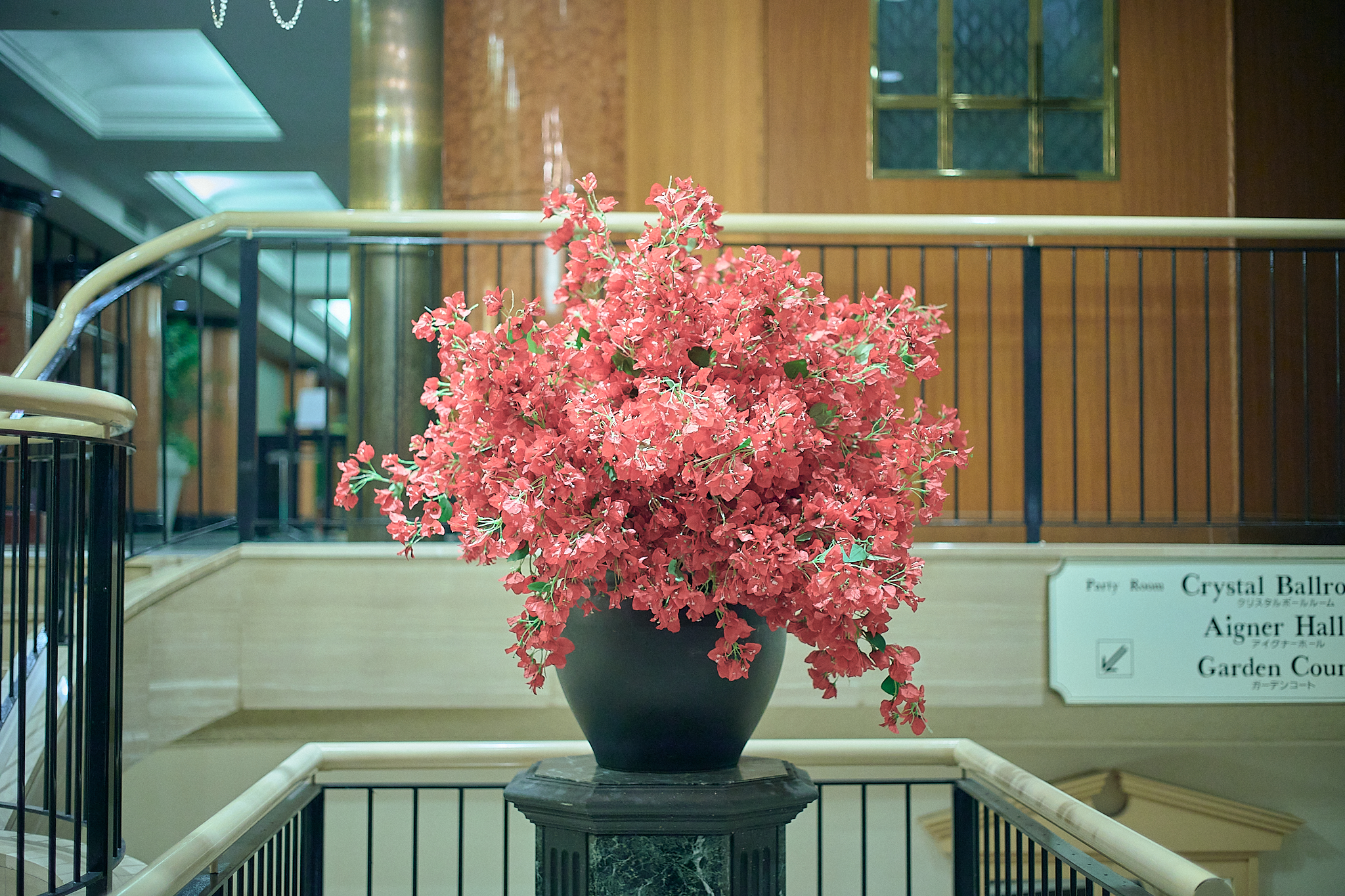 3月第2例会（第28回さくらまつり）ひたちなかベストライオンズクラブ 茨城 ひたちなか ライオンズクラブ