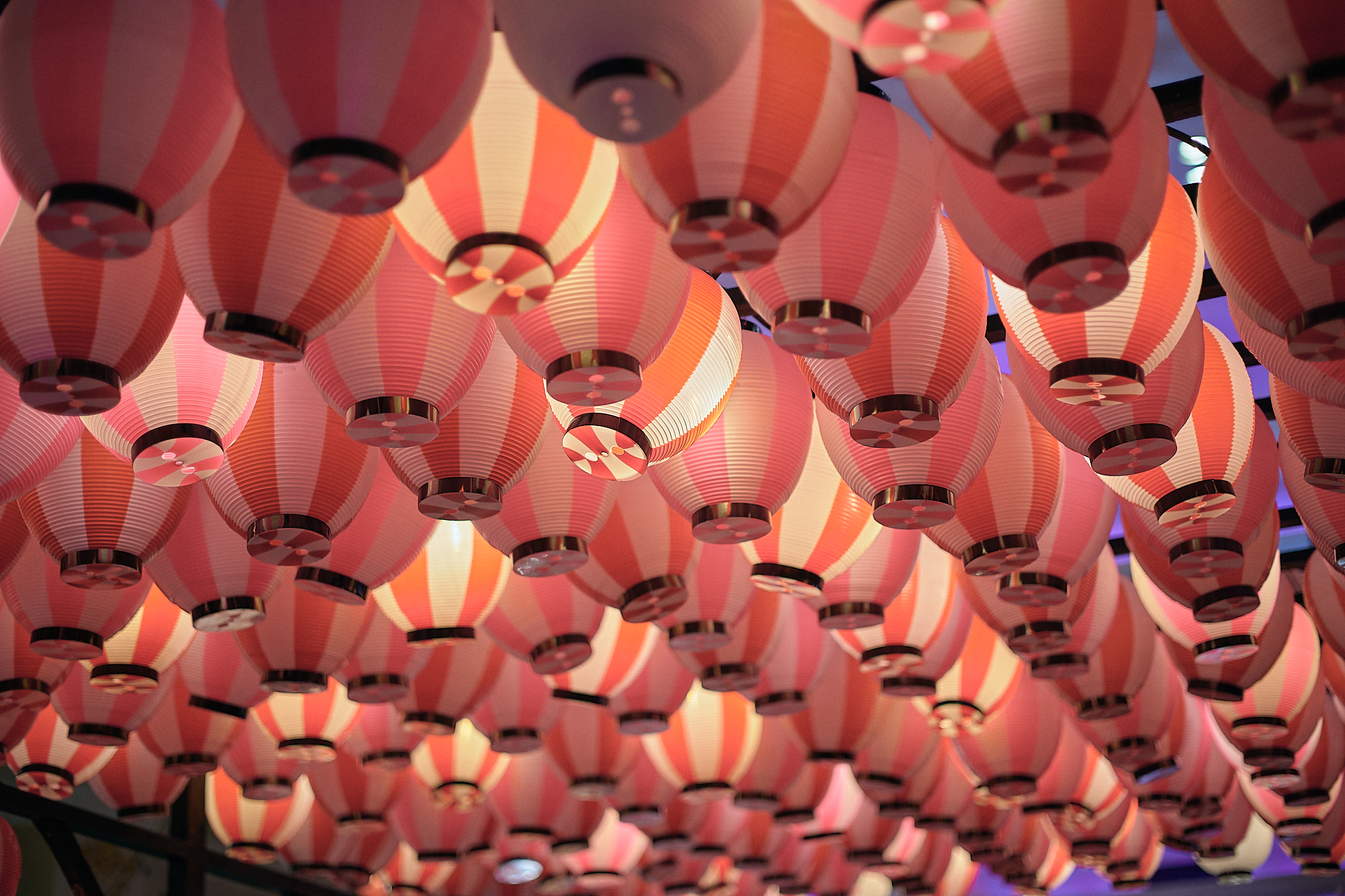 3月第2例会（第28回さくらまつり）ひたちなかベストライオンズクラブ 茨城 ひたちなか ライオンズクラブ