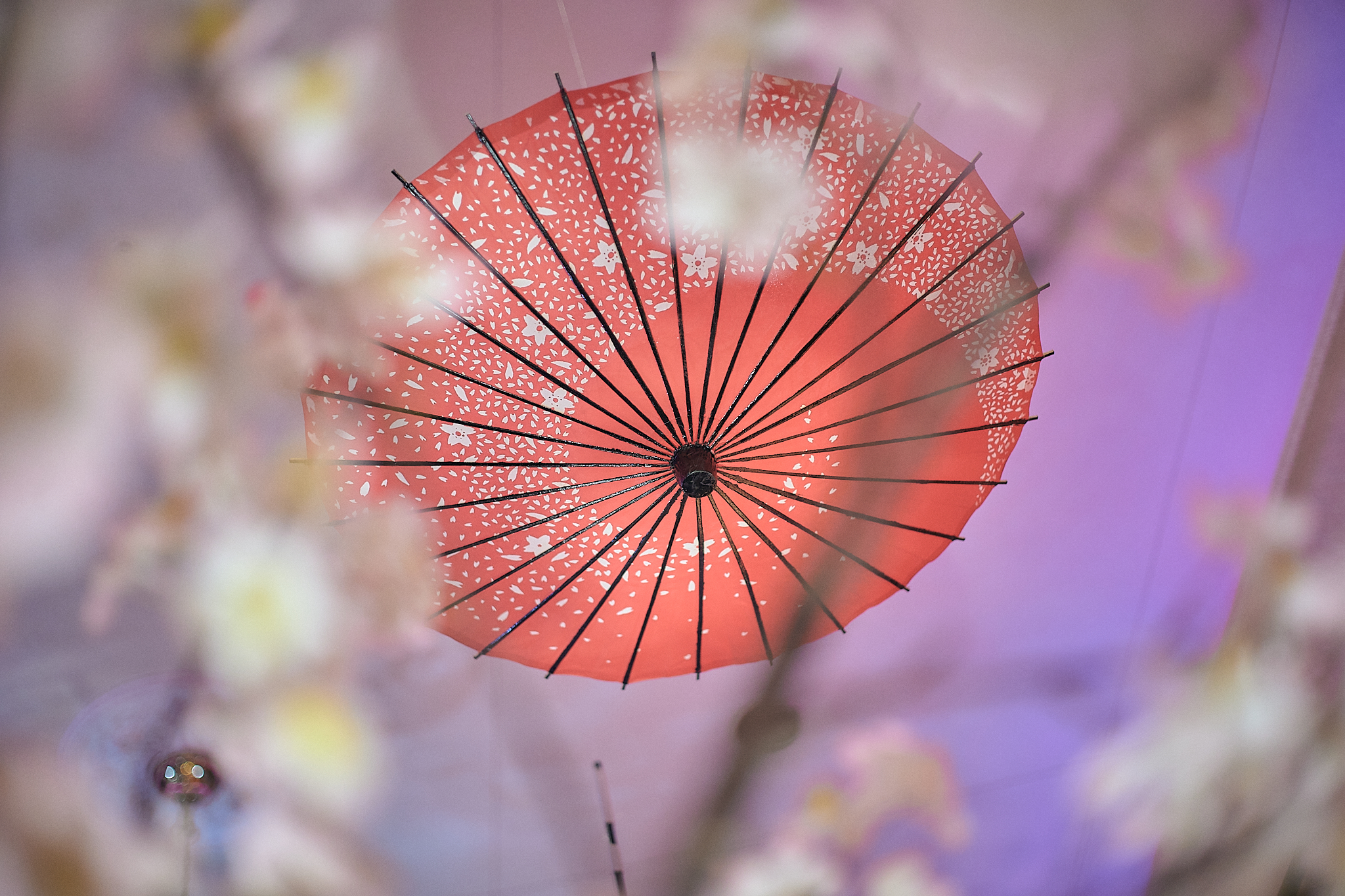 3月第2例会（第28回さくらまつり）ひたちなかベストライオンズクラブ 茨城 ひたちなか ライオンズクラブ