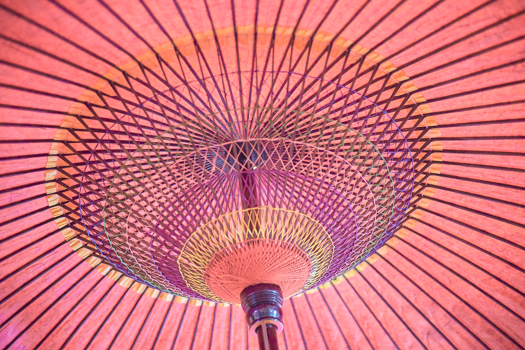 3月第2例会（第28回さくらまつり）ひたちなかベストライオンズクラブ 茨城 ひたちなか ライオンズクラブ