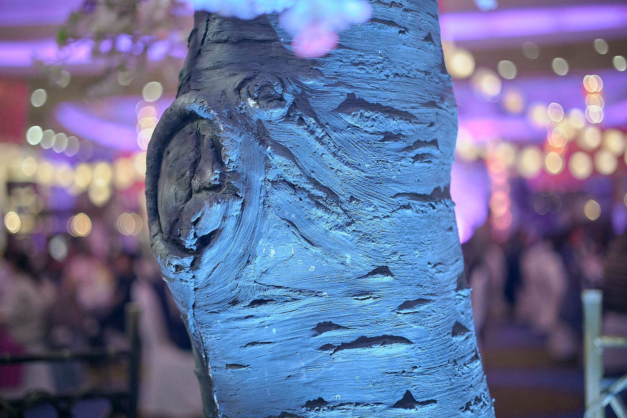 3月第2例会（第28回さくらまつり）ひたちなかベストライオンズクラブ 茨城 ひたちなか ライオンズクラブ