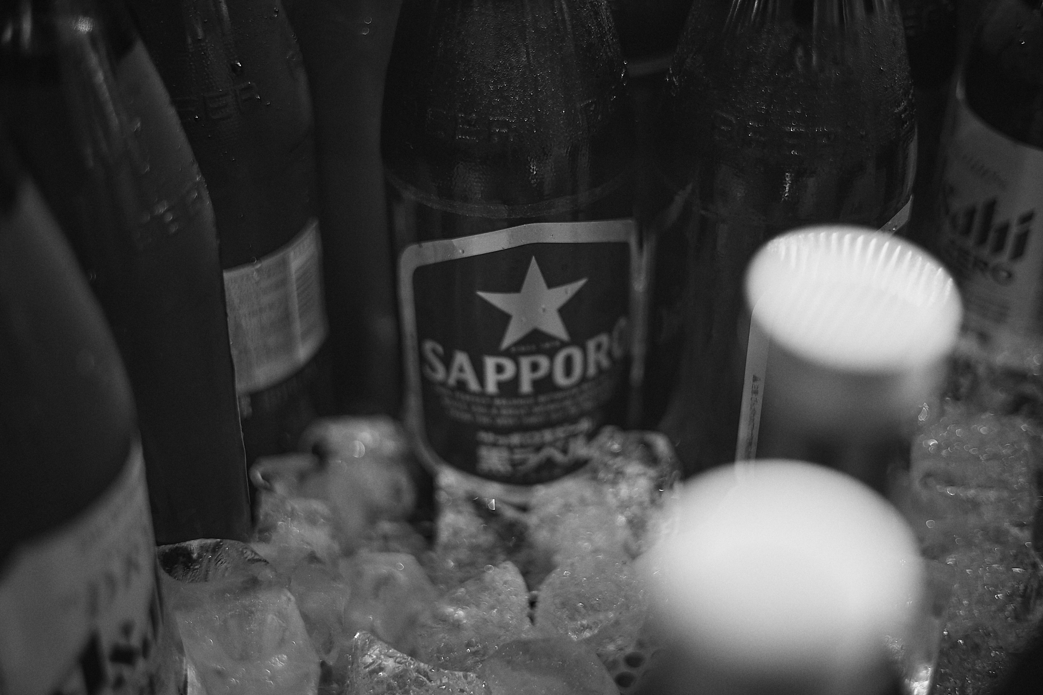 3月第2例会（第28回さくらまつり）ひたちなかベストライオンズクラブ 茨城 ひたちなか ライオンズクラブ