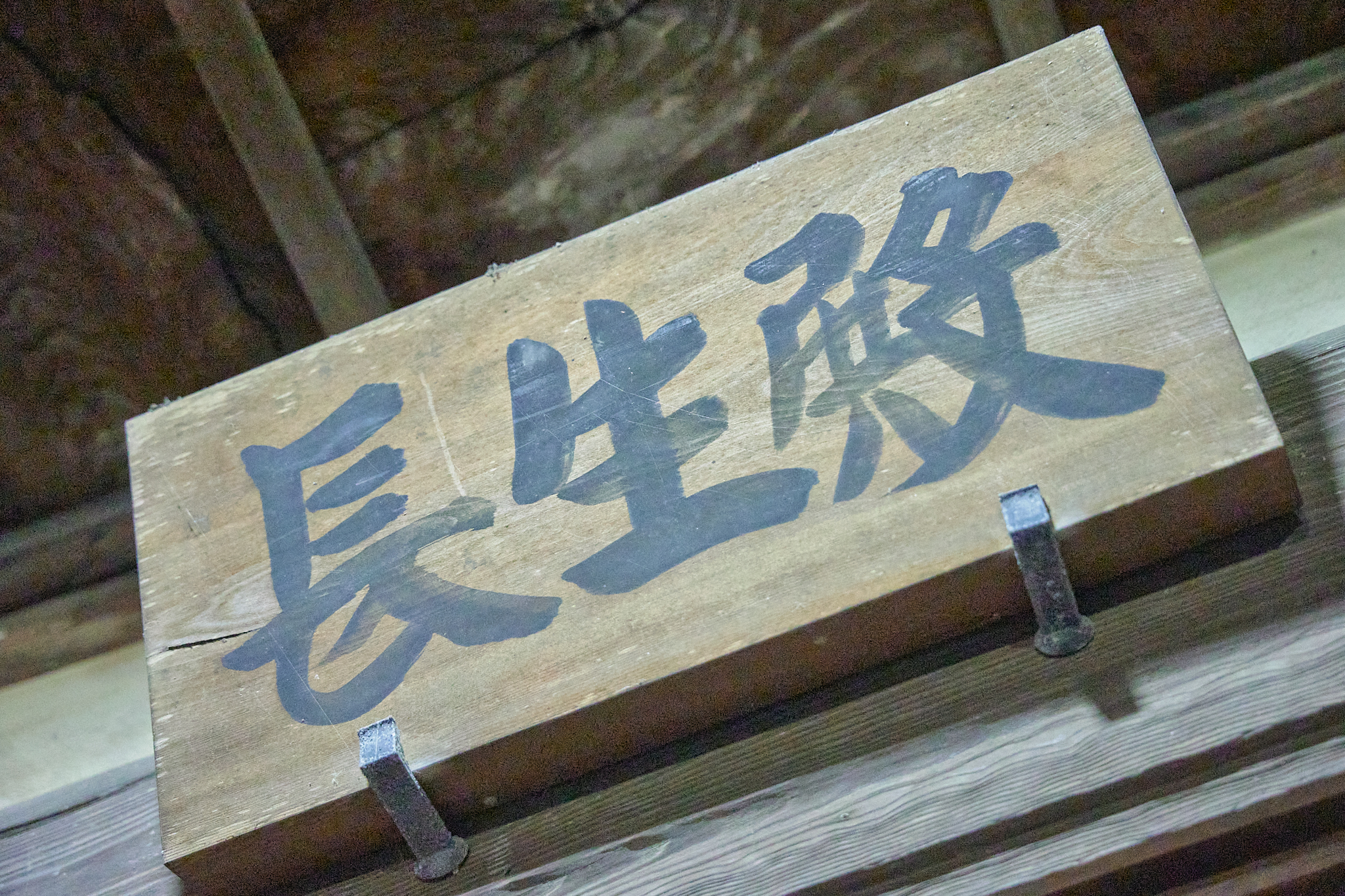 4月理事会・第1例会（お花見）ひたちなかベストライオンズクラブ 茨城 ひたちなか ライオンズクラブ