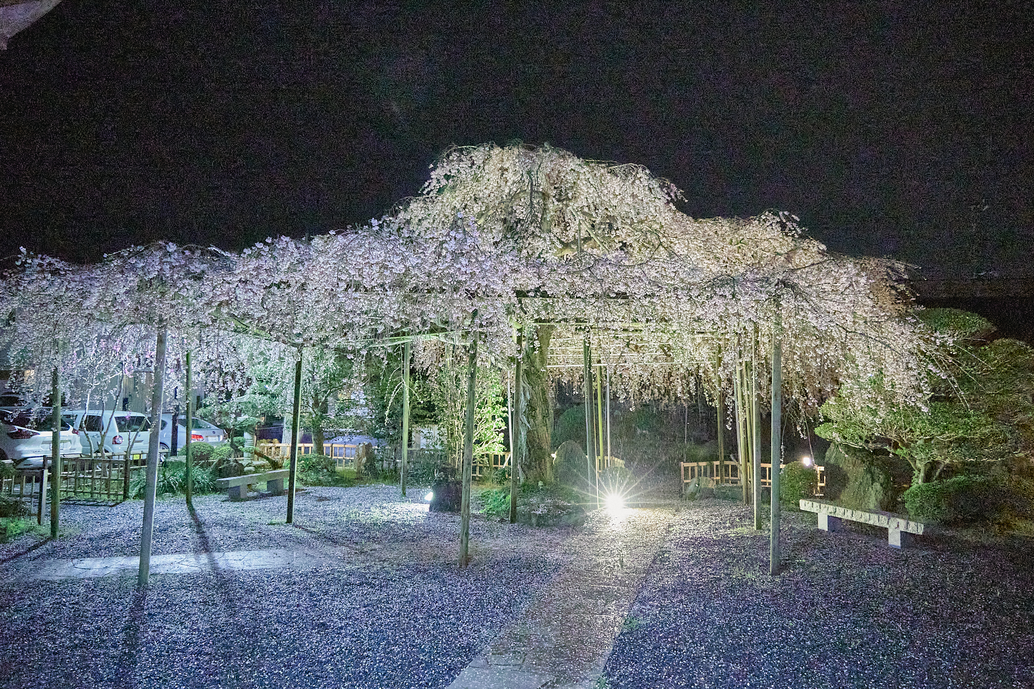 4月理事会・第1例会（お花見）ひたちなかベストライオンズクラブ 茨城 ひたちなか ライオンズクラブ