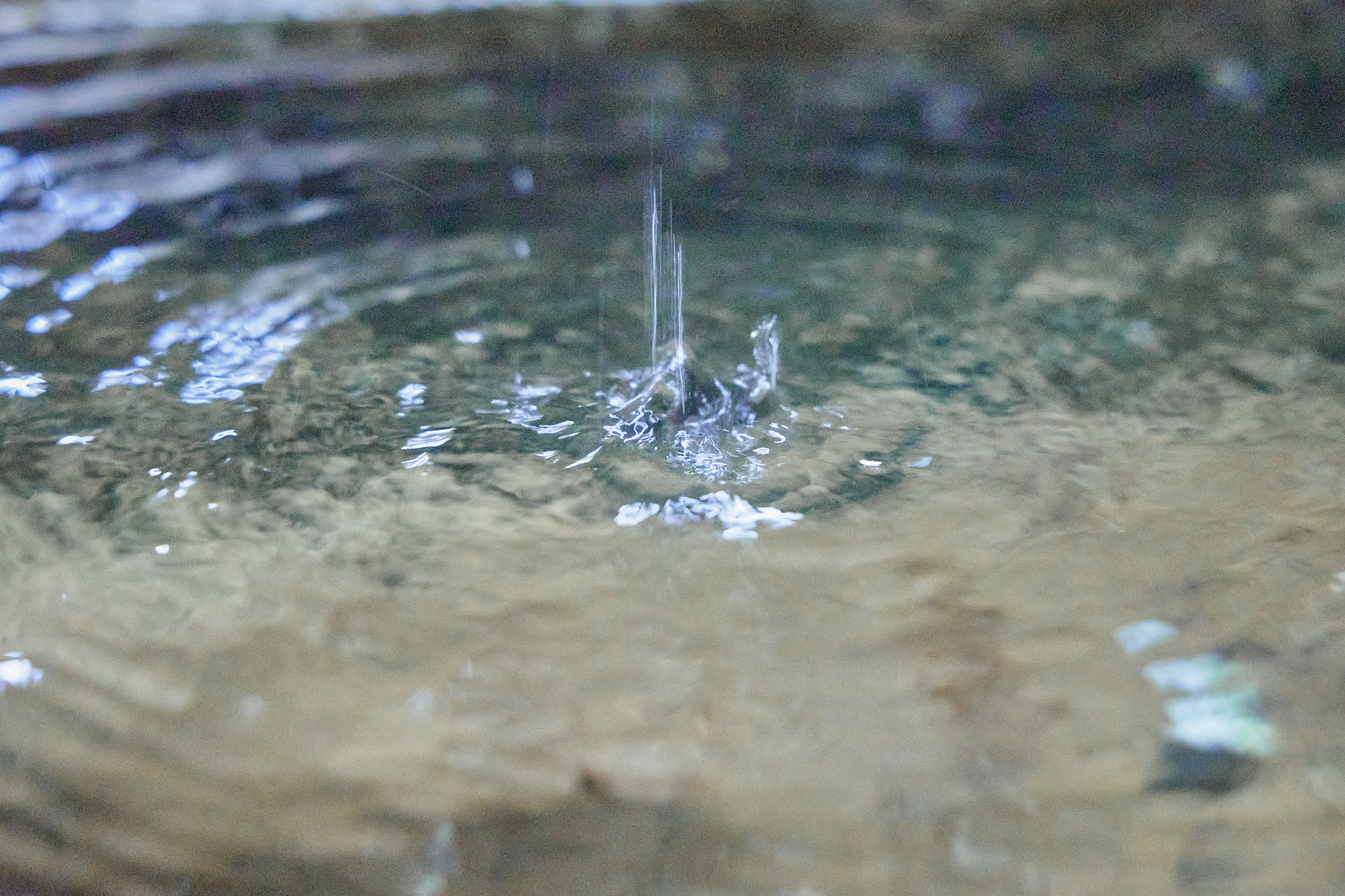 4月理事会・第1例会（お花見）ひたちなかベストライオンズクラブ 茨城 ひたちなか ライオンズクラブ