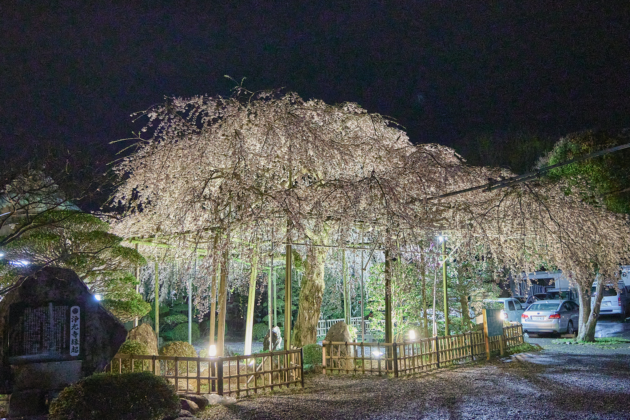 4月理事会・第1例会（お花見）ひたちなかベストライオンズクラブ 茨城 ひたちなか ライオンズクラブ