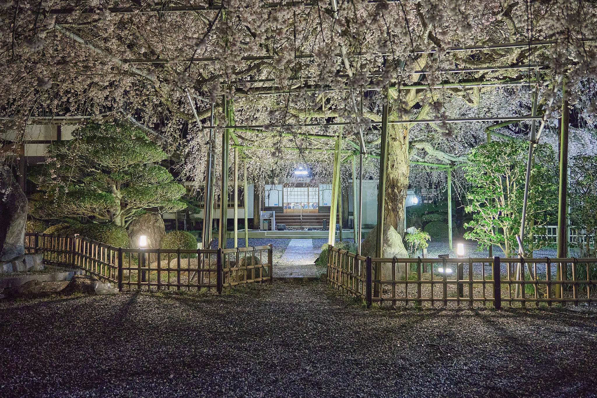 4月理事会・第1例会（お花見）ひたちなかベストライオンズクラブ 茨城 ひたちなか ライオンズクラブ