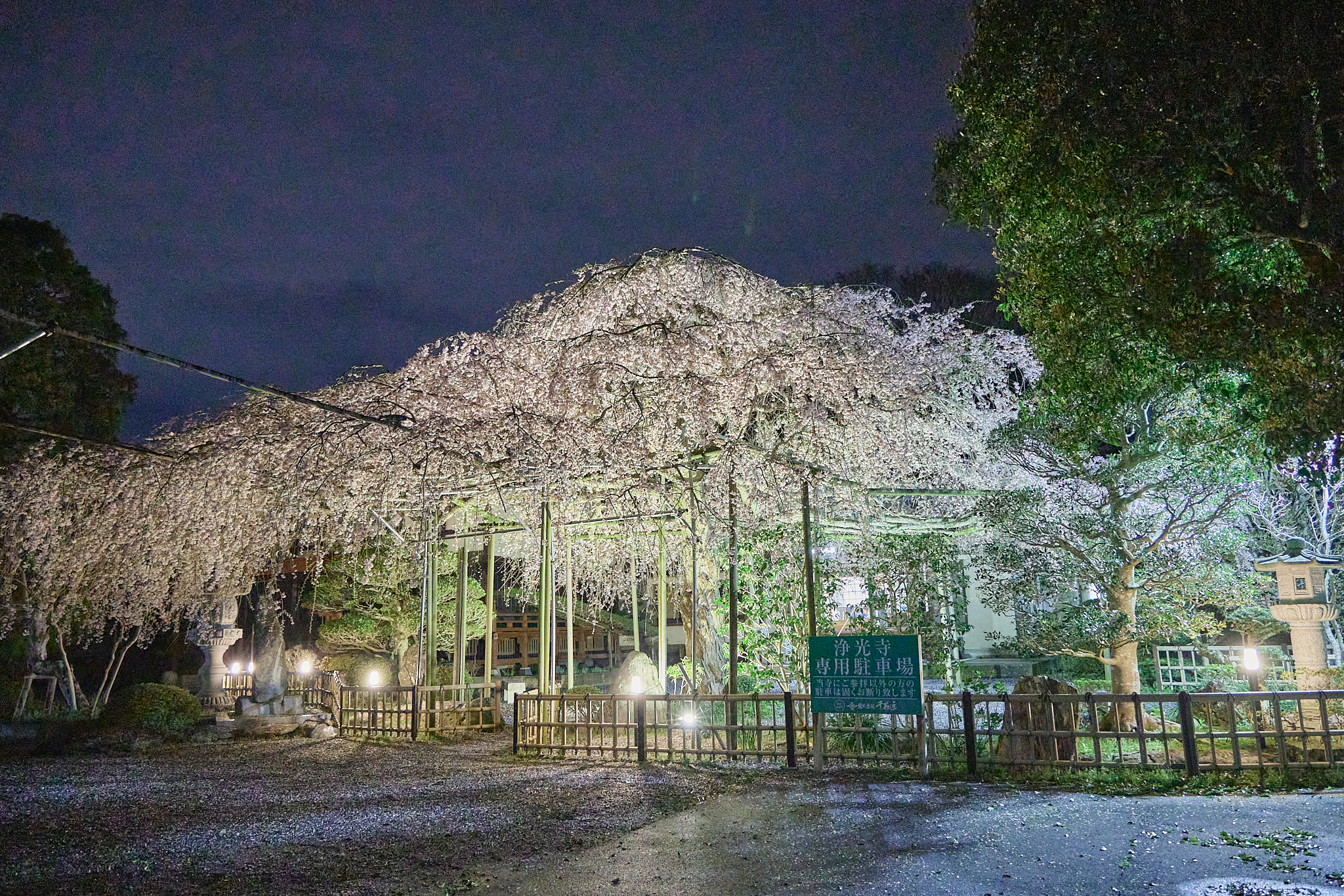 4月理事会・第1例会（お花見）ひたちなかベストライオンズクラブ 茨城 ひたちなか ライオンズクラブ