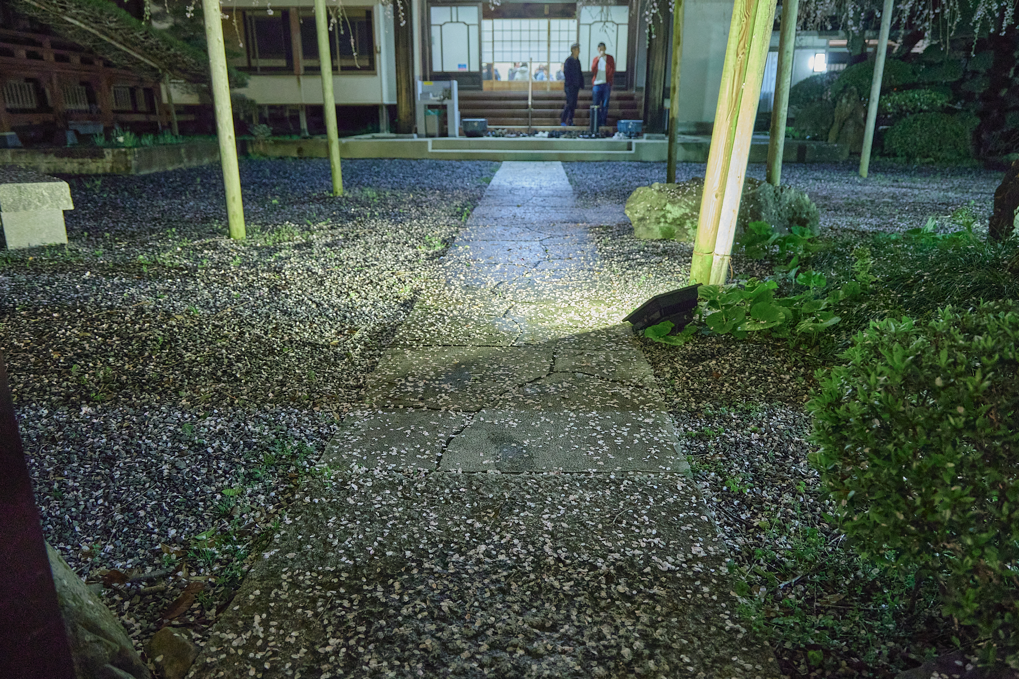 4月理事会・第1例会（お花見）ひたちなかベストライオンズクラブ 茨城 ひたちなか ライオンズクラブ