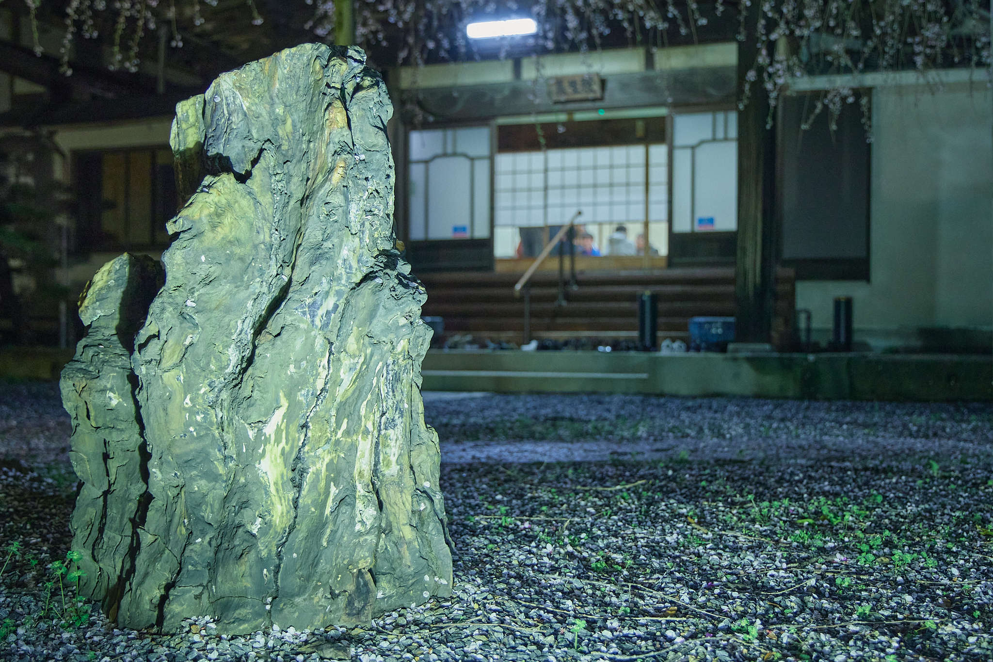 4月理事会・第1例会（お花見）ひたちなかベストライオンズクラブ 茨城 ひたちなか ライオンズクラブ