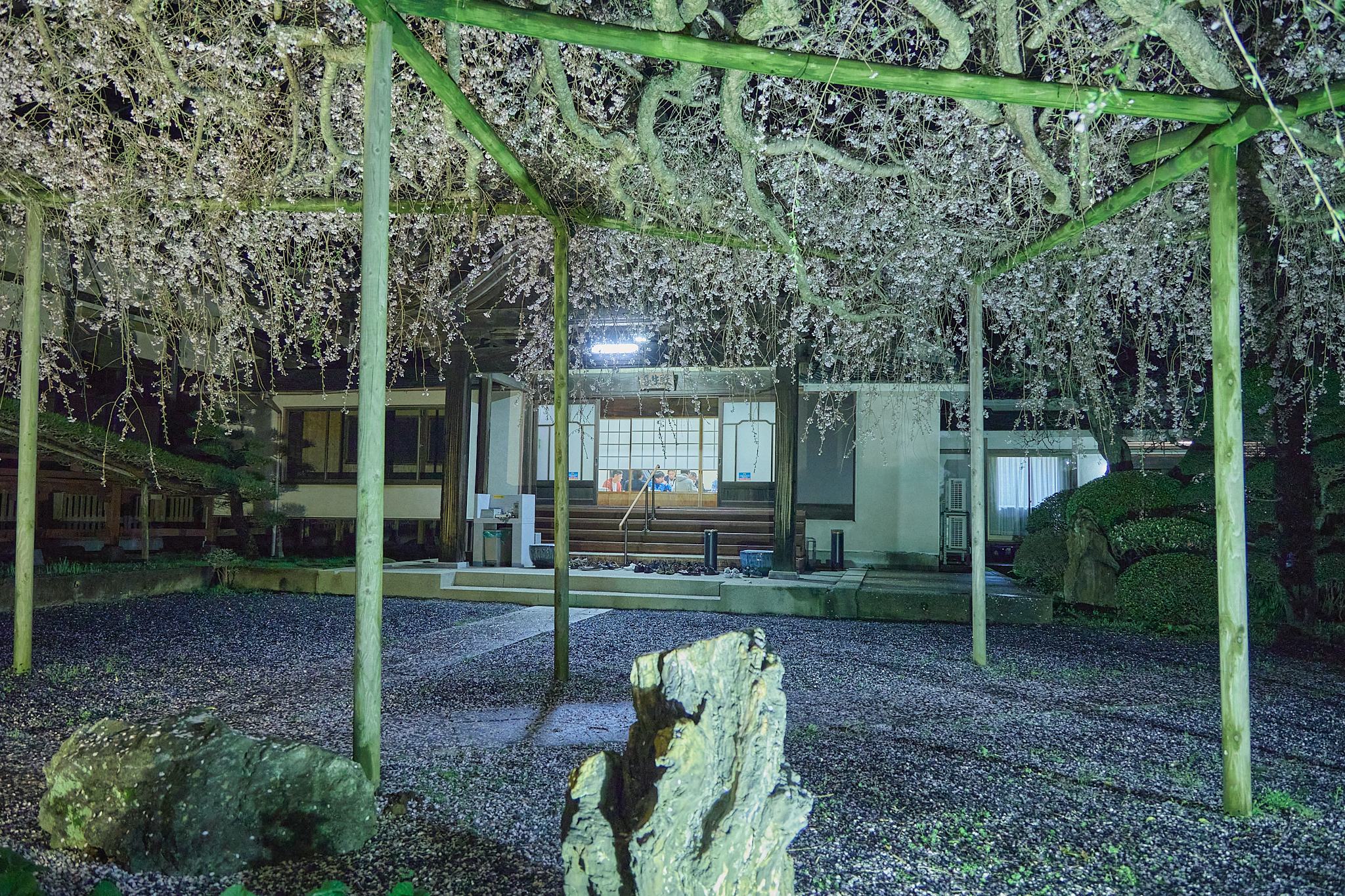 4月理事会・第1例会（お花見）ひたちなかベストライオンズクラブ 茨城 ひたちなか ライオンズクラブ