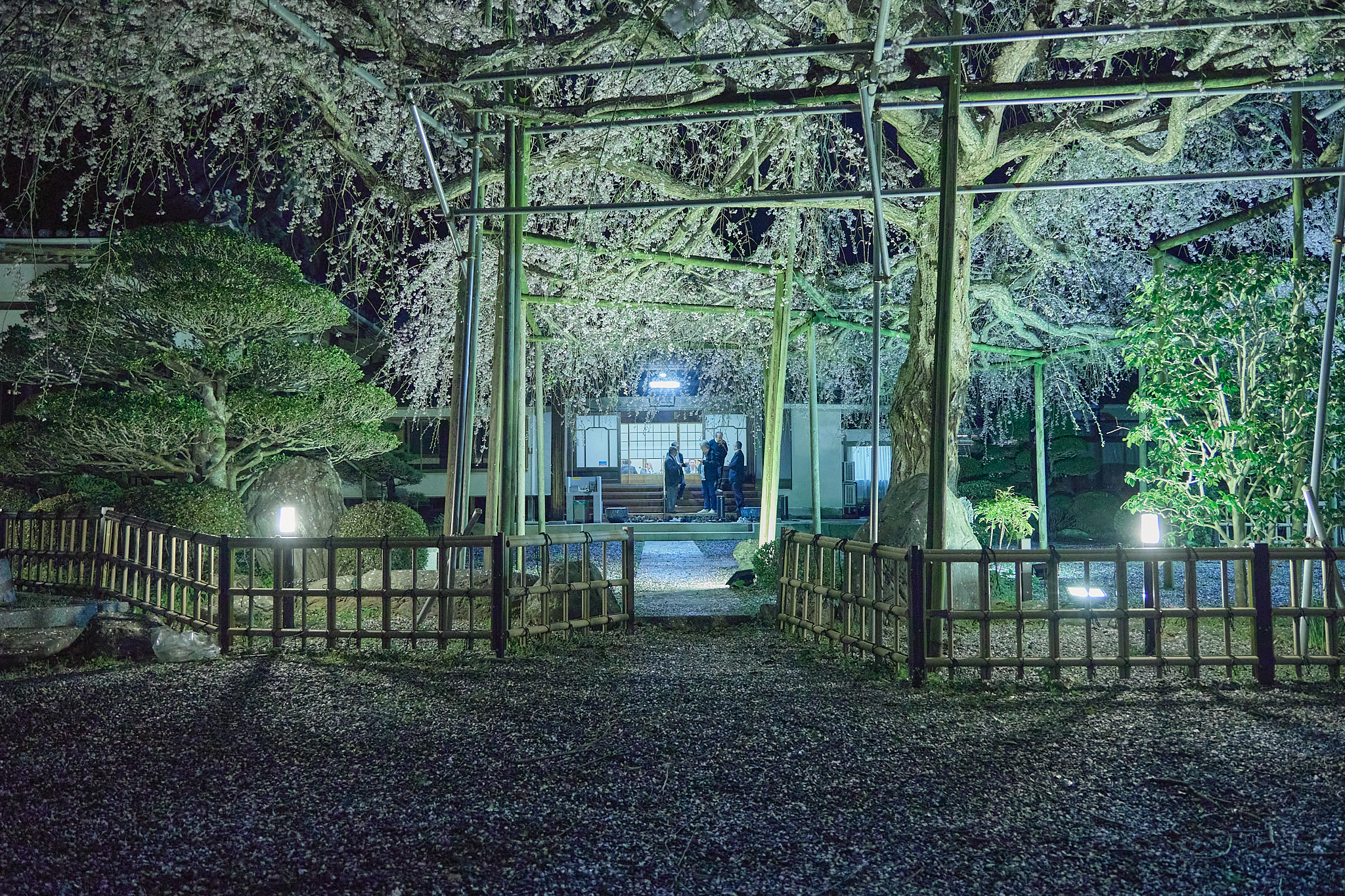 4月理事会・第1例会（お花見）ひたちなかベストライオンズクラブ 茨城 ひたちなか ライオンズクラブ