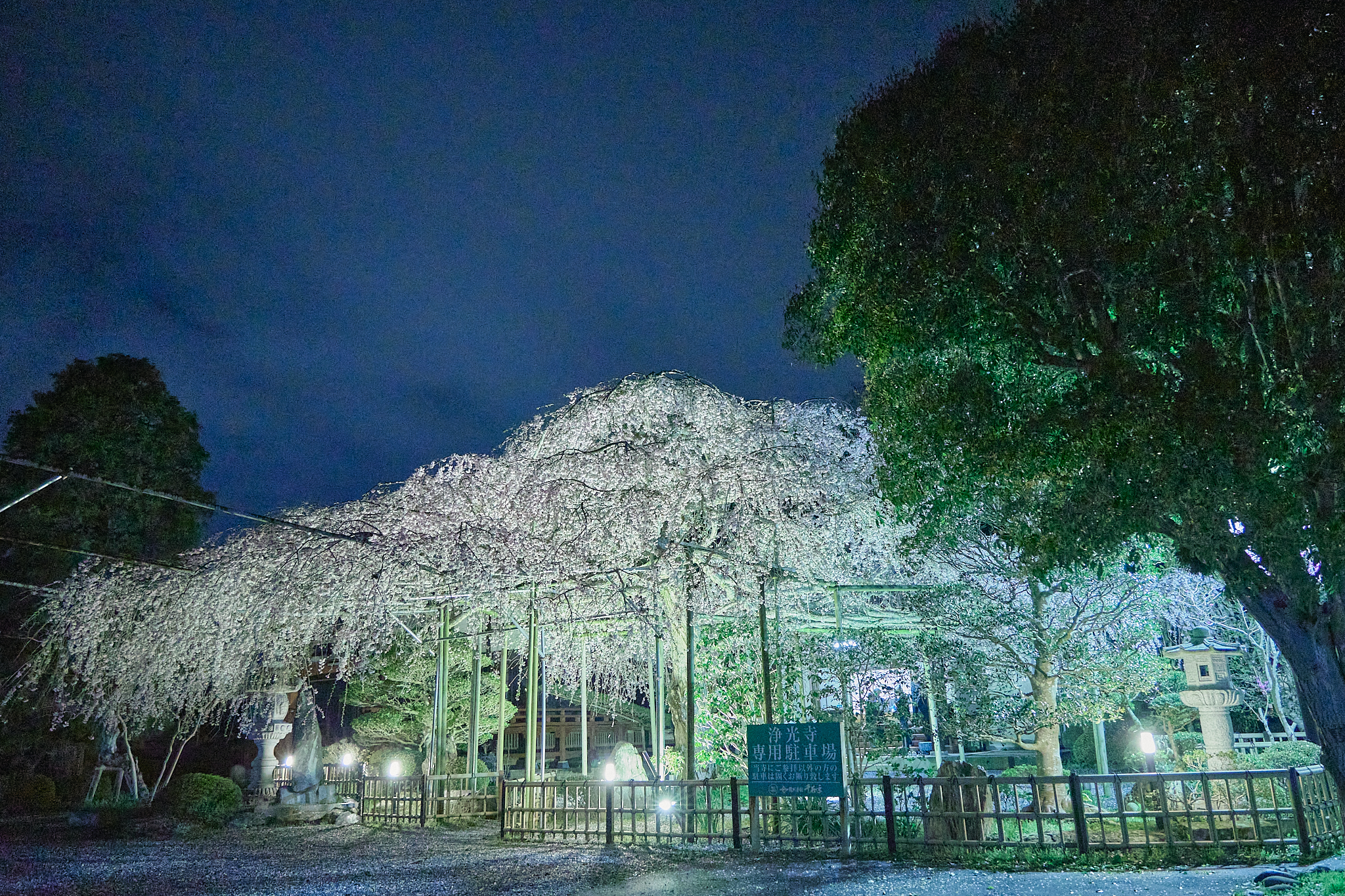 4月理事会・第1例会（お花見）ひたちなかベストライオンズクラブ 茨城 ひたちなか ライオンズクラブ