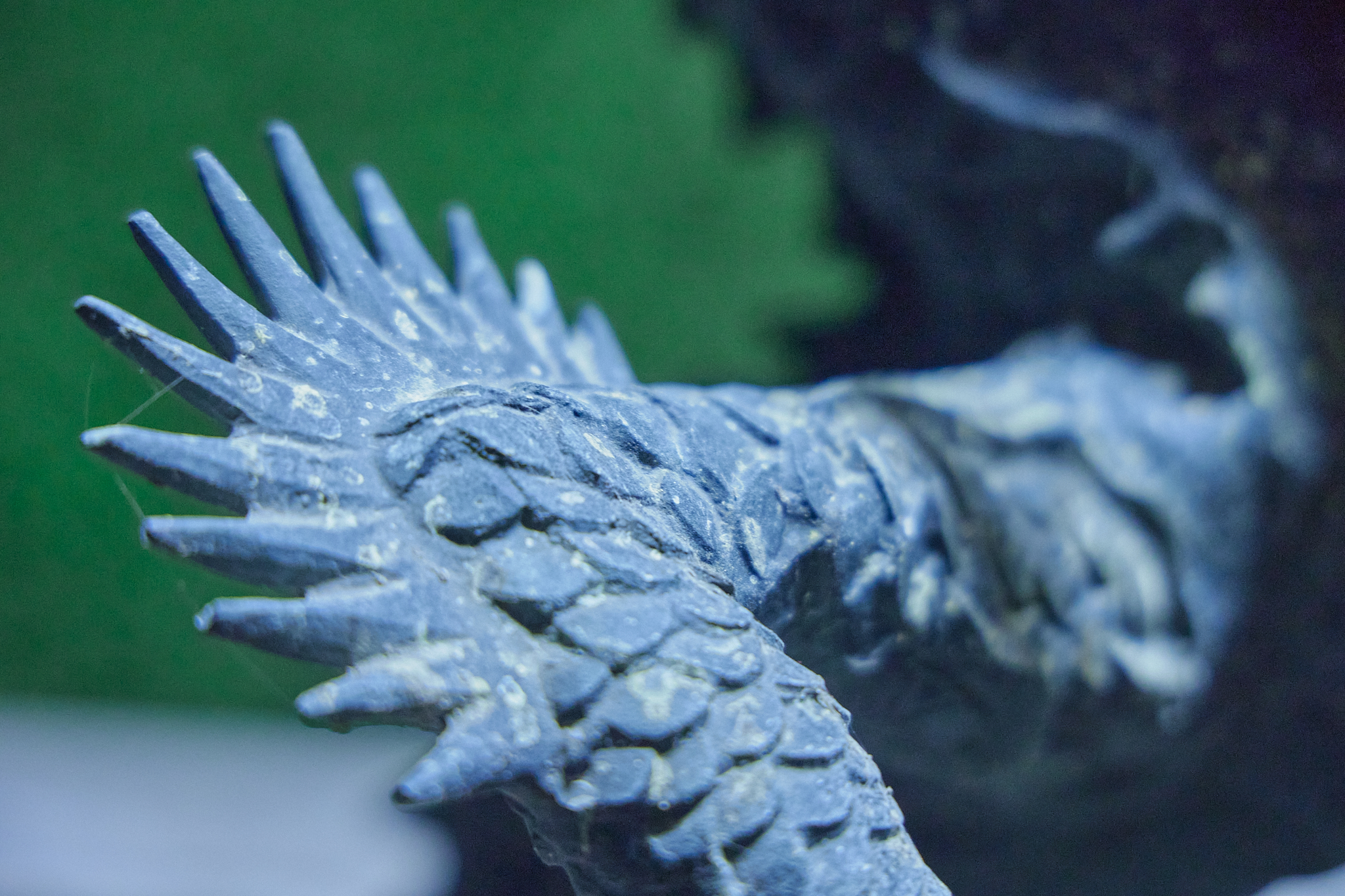 4月理事会・第1例会（お花見）ひたちなかベストライオンズクラブ 茨城 ひたちなか ライオンズクラブ