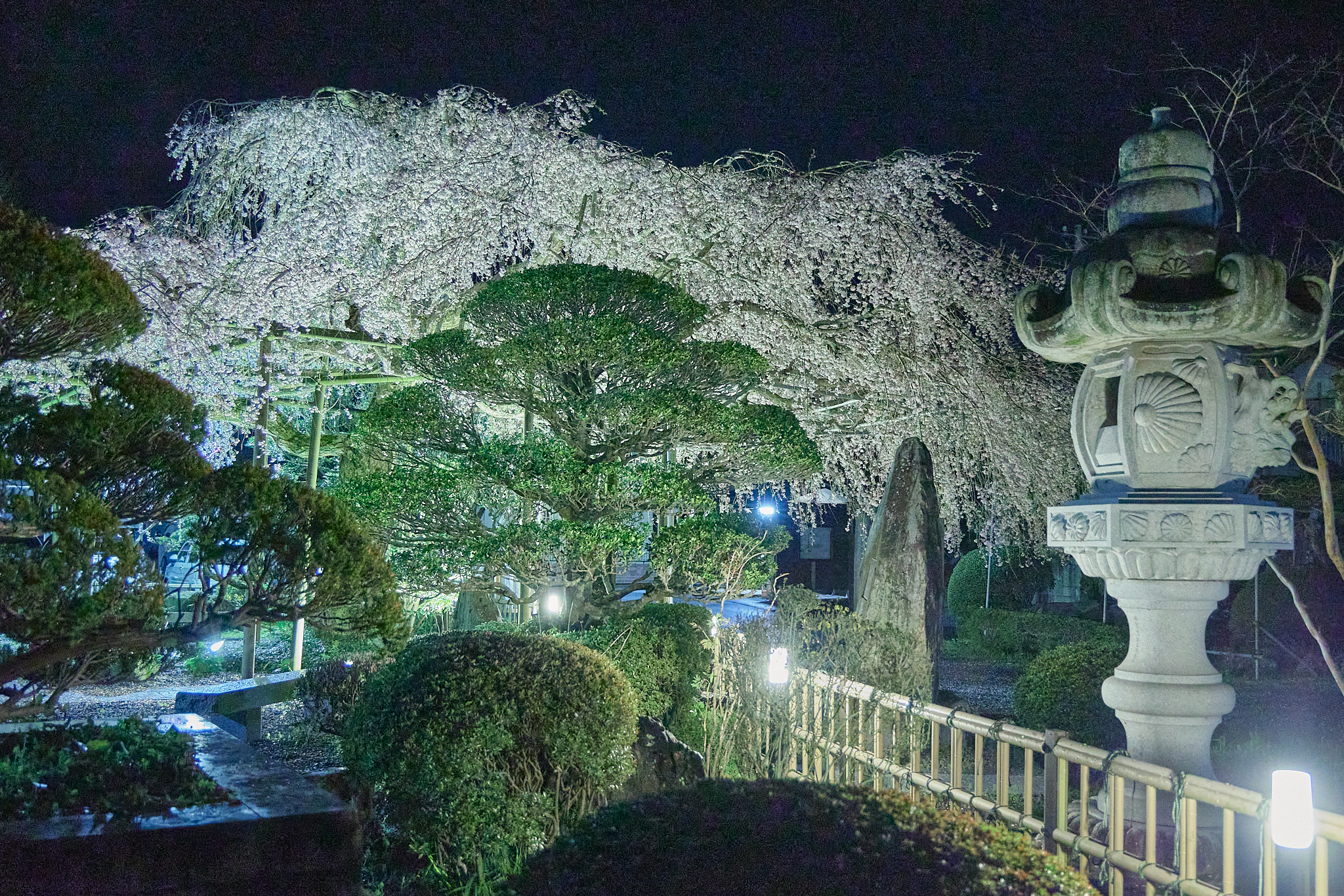 4月理事会・第1例会（お花見）ひたちなかベストライオンズクラブ 茨城 ひたちなか ライオンズクラブ