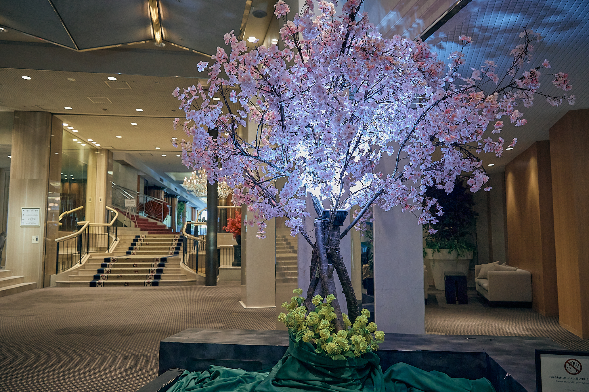 勝田グリーンLC CN45周年記念式典 ひたちなかベストライオンズクラブ 茨城 ひたちなか ライオンズクラブ