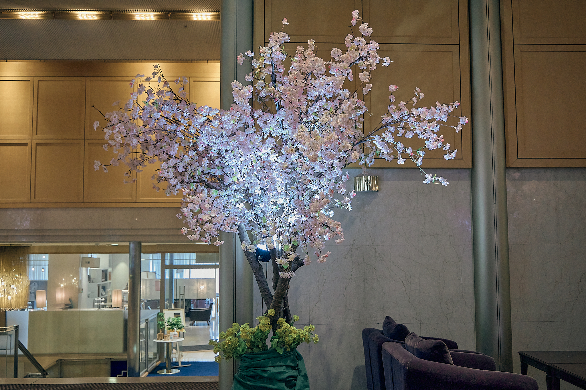 勝田グリーンLC CN45周年記念式典 ひたちなかベストライオンズクラブ 茨城 ひたちなか ライオンズクラブ