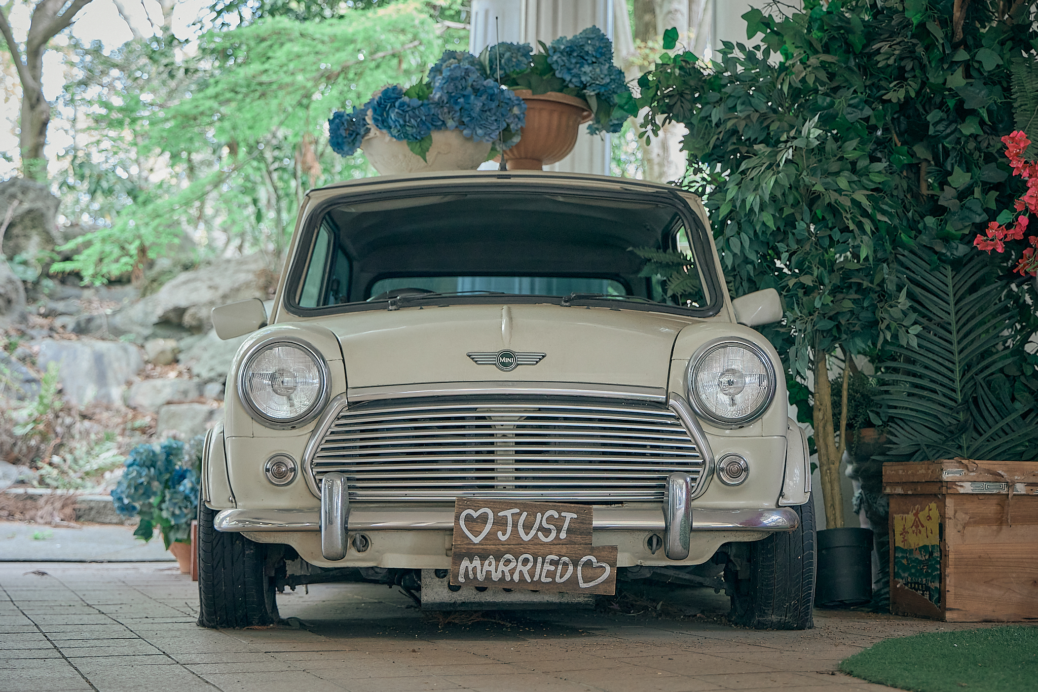 勝田グリーンLC CN45周年記念式典 ひたちなかベストライオンズクラブ 茨城 ひたちなか ライオンズクラブ