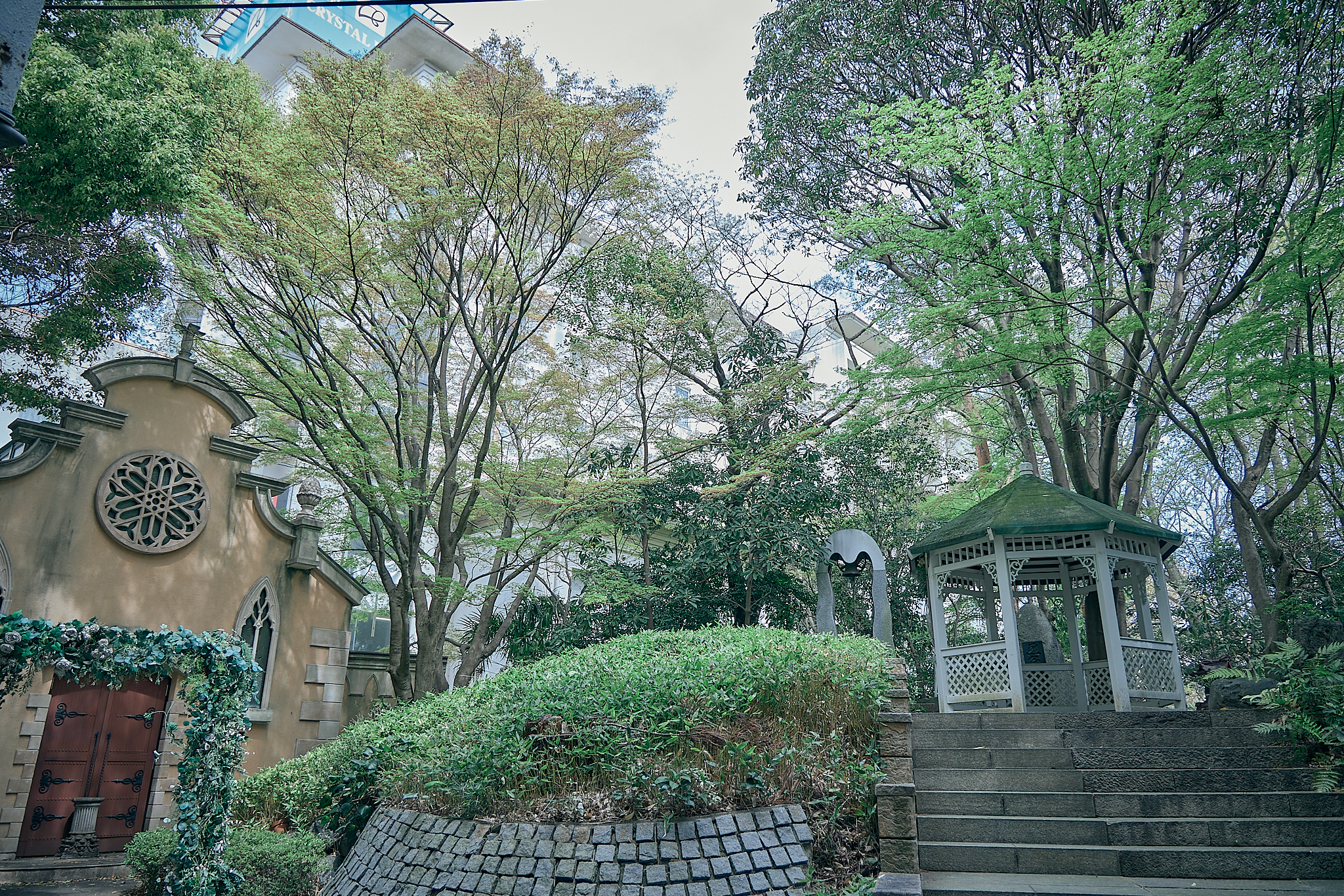 勝田グリーンLC CN45周年記念式典 ひたちなかベストライオンズクラブ 茨城 ひたちなか ライオンズクラブ