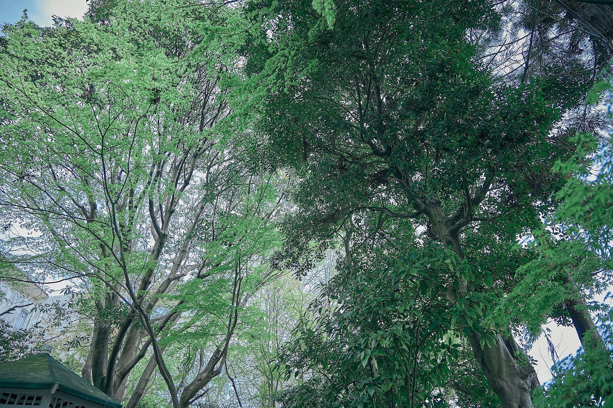 勝田グリーンLC CN45周年記念式典 ひたちなかベストライオンズクラブ 茨城 ひたちなか ライオンズクラブ