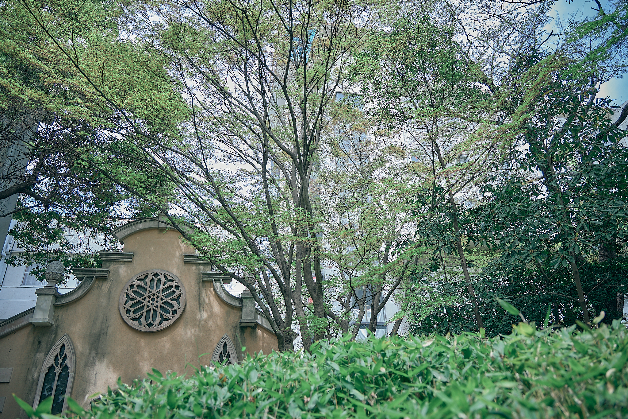 勝田グリーンLC CN45周年記念式典 ひたちなかベストライオンズクラブ 茨城 ひたちなか ライオンズクラブ