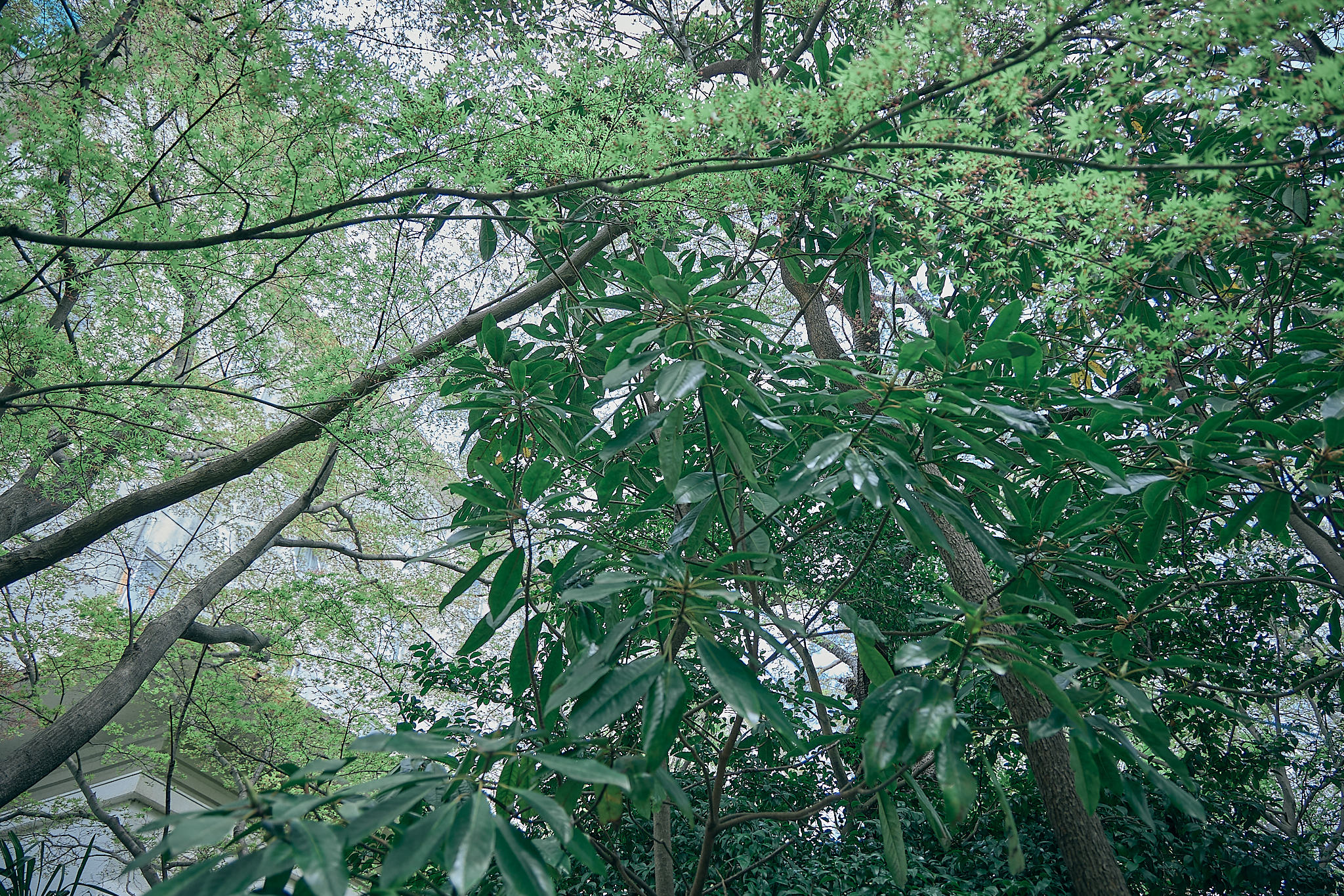 勝田グリーンLC CN45周年記念式典 ひたちなかベストライオンズクラブ 茨城 ひたちなか ライオンズクラブ