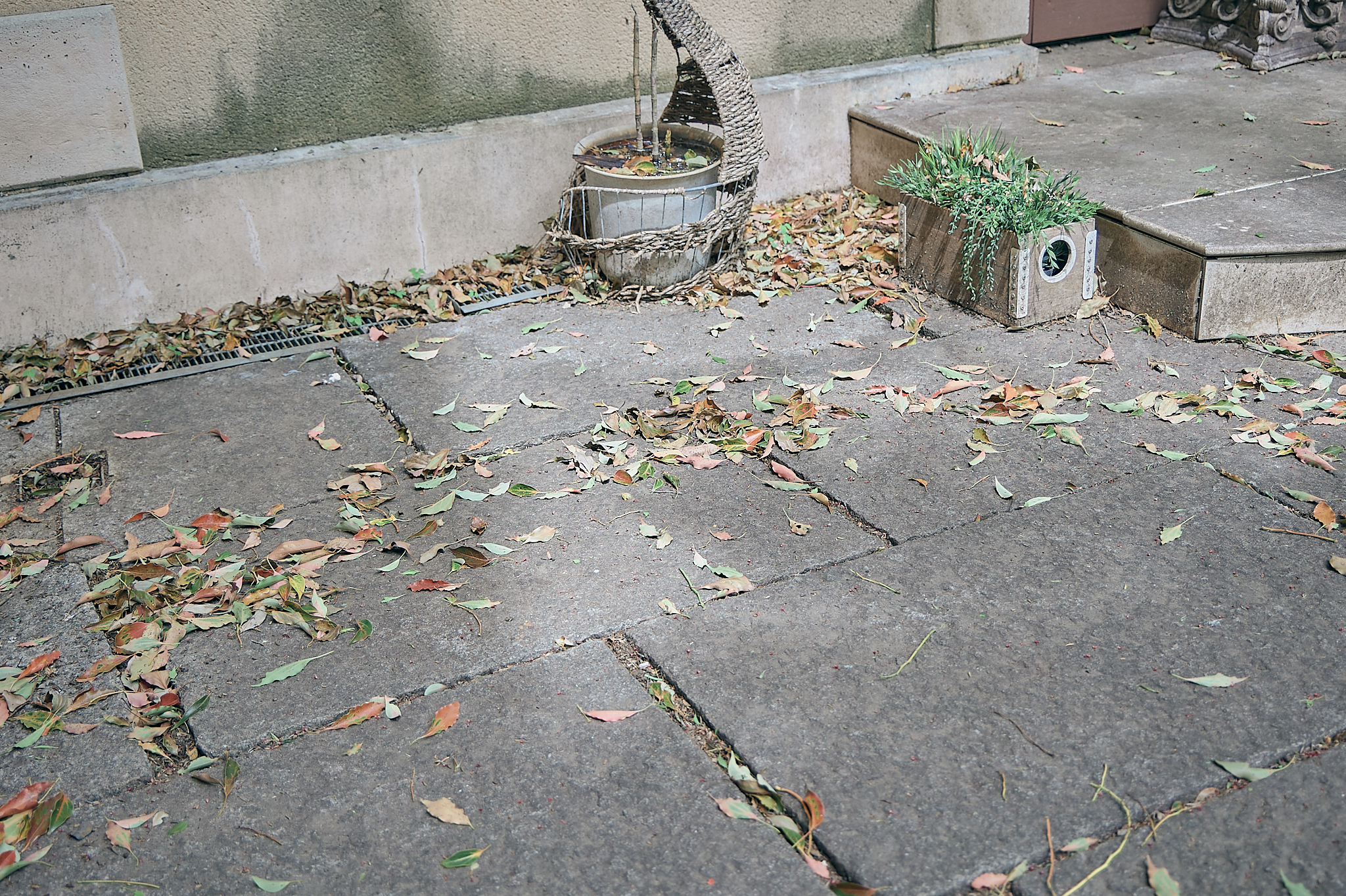 勝田グリーンLC CN45周年記念式典 ひたちなかベストライオンズクラブ 茨城 ひたちなか ライオンズクラブ