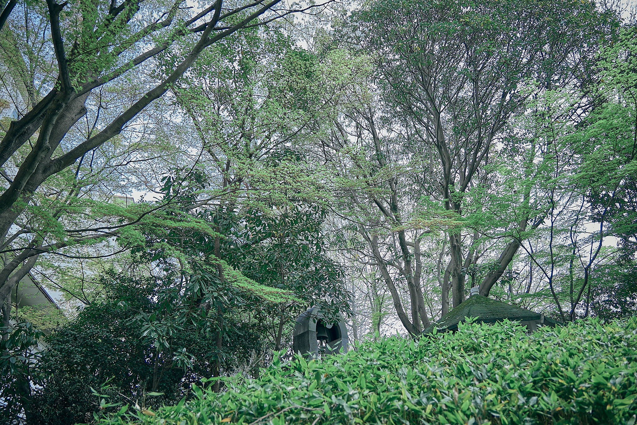 勝田グリーンLC CN45周年記念式典 ひたちなかベストライオンズクラブ 茨城 ひたちなか ライオンズクラブ