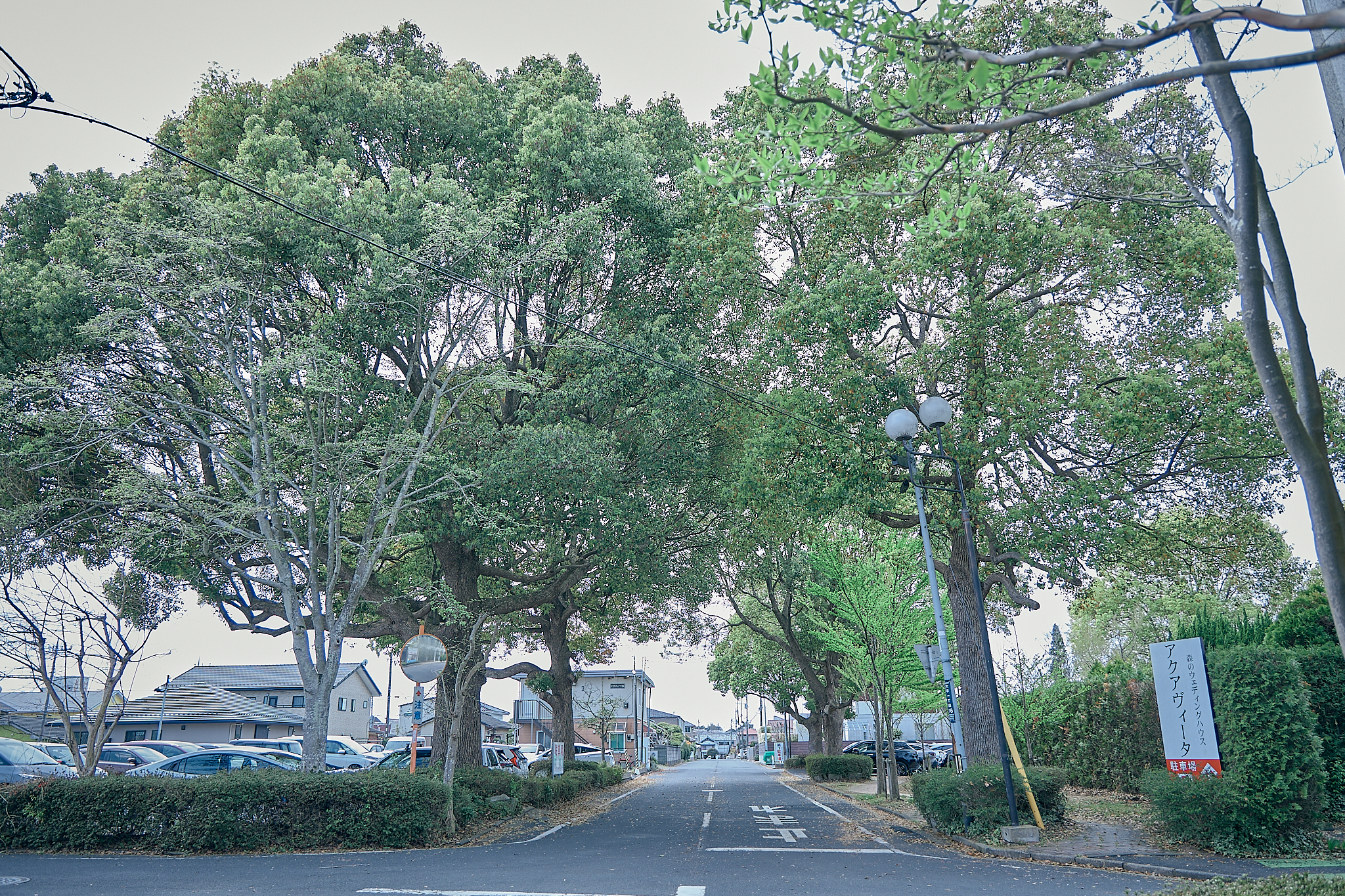 勝田グリーンLC CN45周年記念式典 ひたちなかベストライオンズクラブ 茨城 ひたちなか ライオンズクラブ