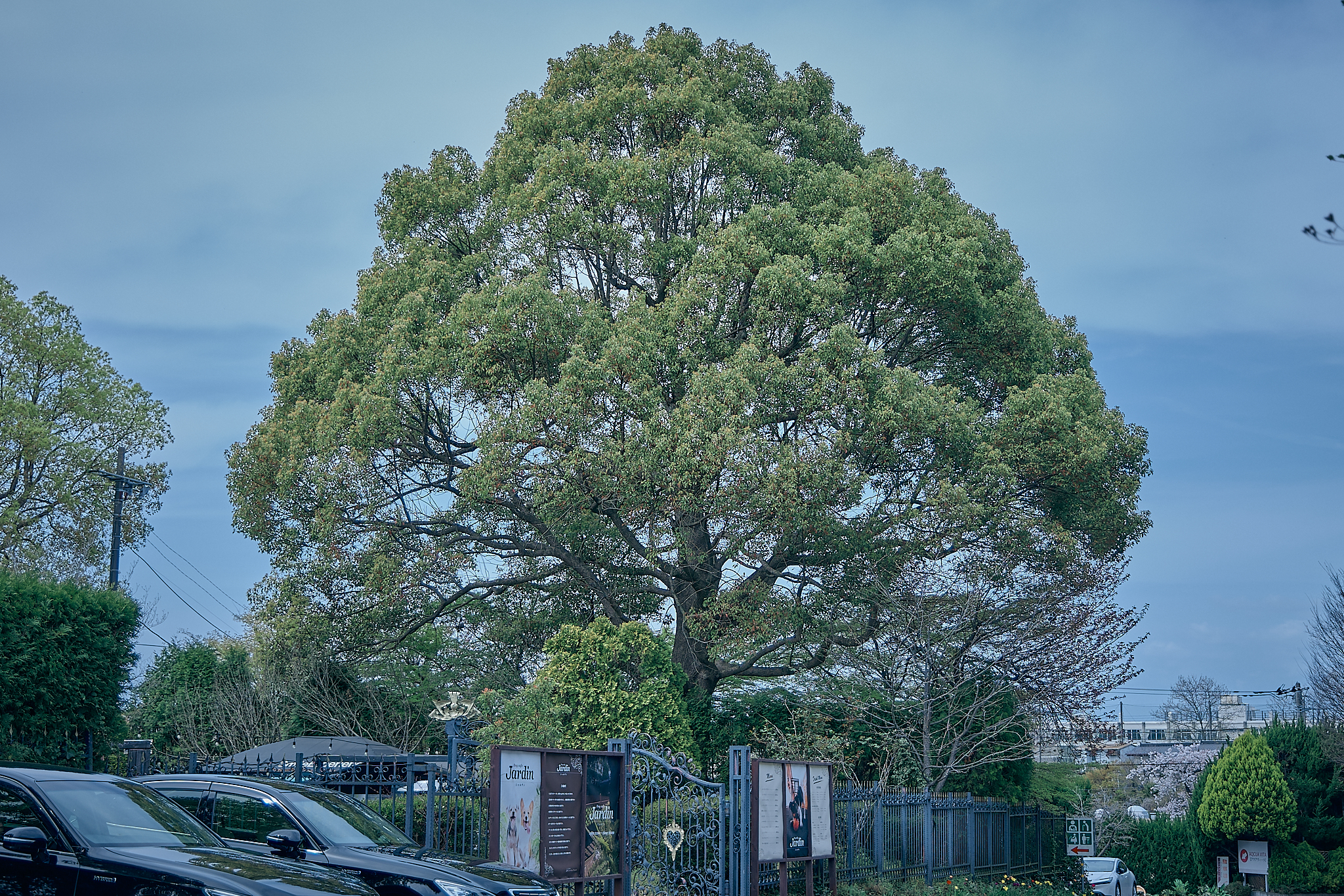 勝田グリーンLC CN45周年記念式典 ひたちなかベストライオンズクラブ 茨城 ひたちなか ライオンズクラブ