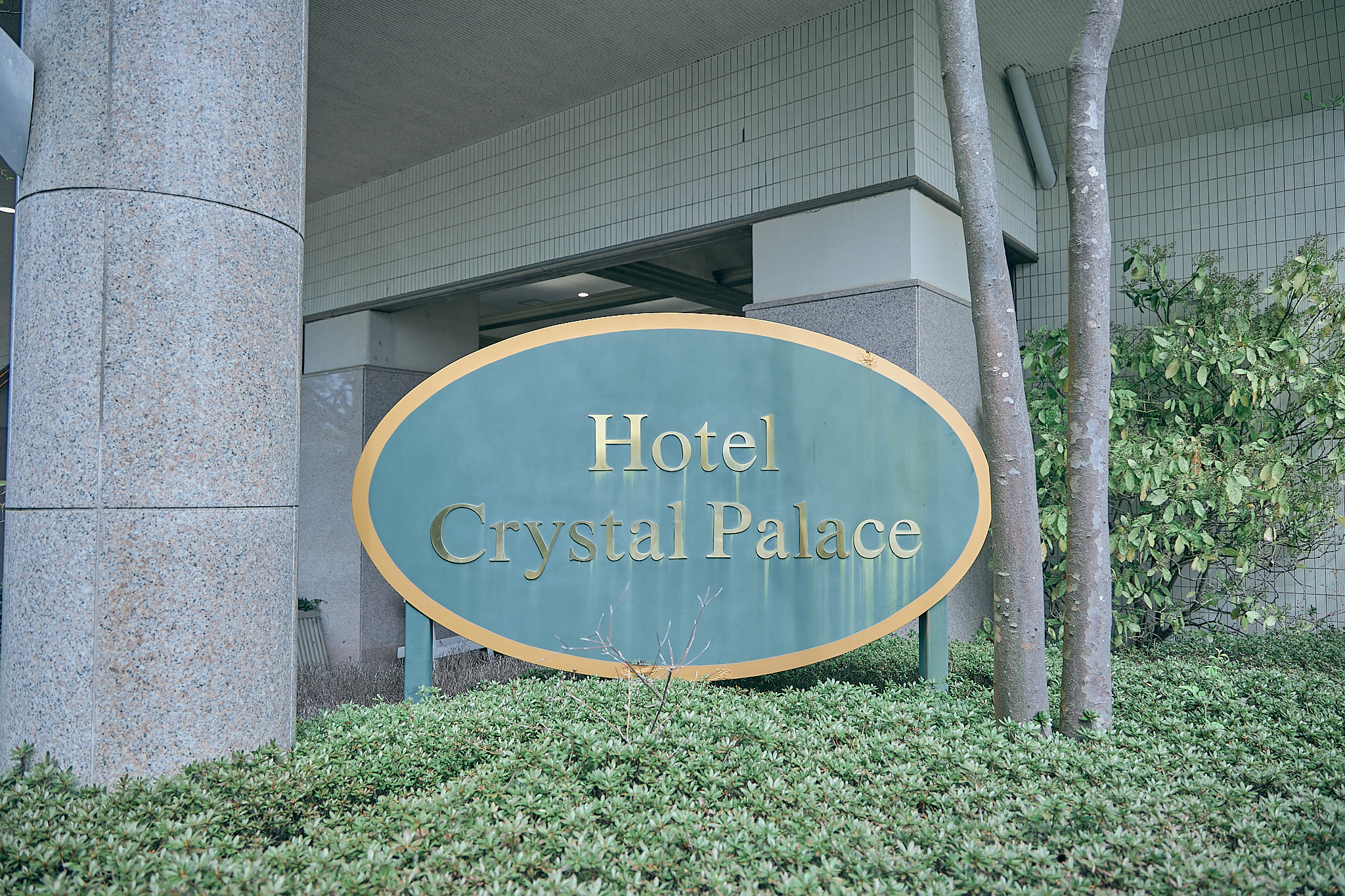 勝田グリーンLC CN45周年記念式典 ひたちなかベストライオンズクラブ 茨城 ひたちなか ライオンズクラブ