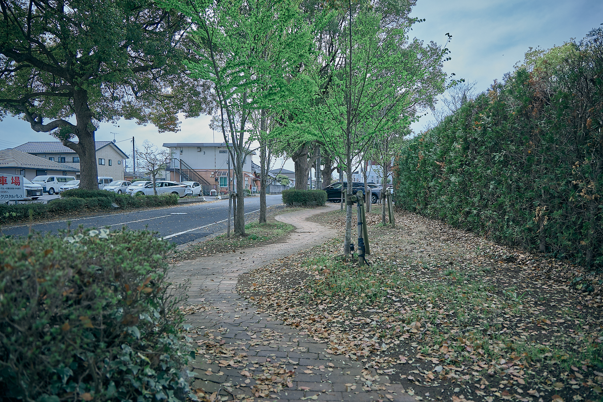 勝田グリーンLC CN45周年記念式典 ひたちなかベストライオンズクラブ 茨城 ひたちなか ライオンズクラブ