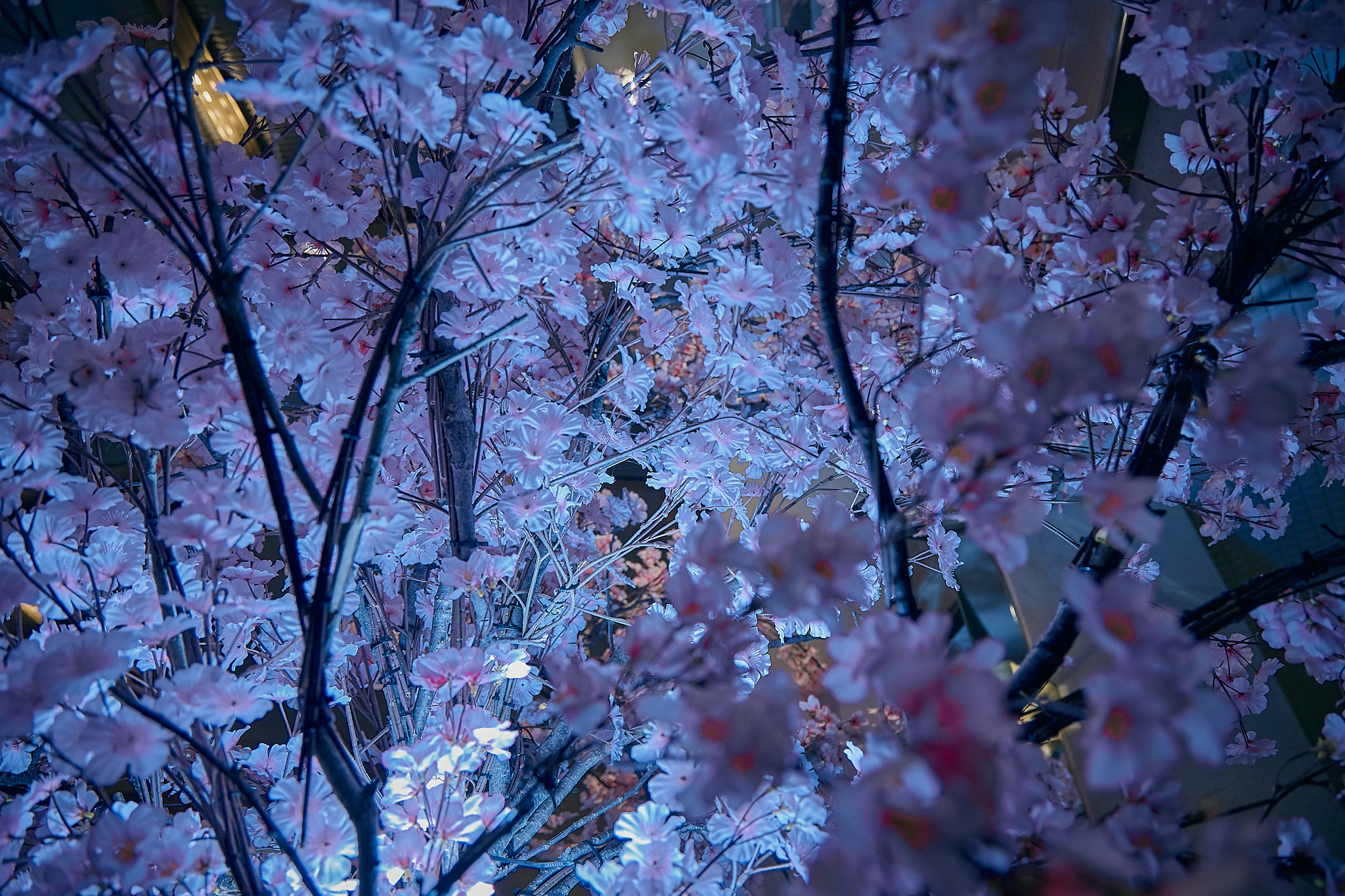 勝田グリーンLC CN45周年記念式典 ひたちなかベストライオンズクラブ 茨城 ひたちなか ライオンズクラブ