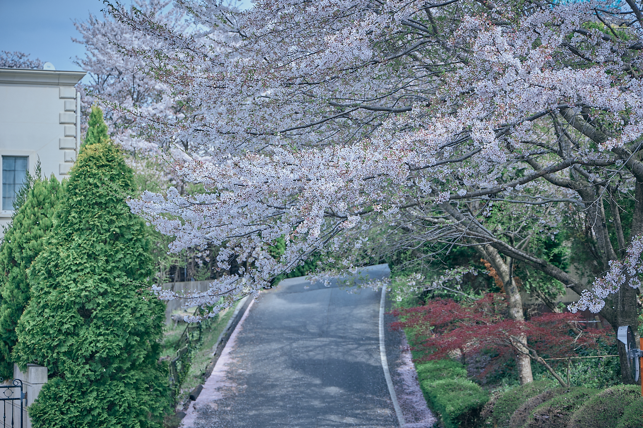 勝田グリーンLC CN45周年記念式典 ひたちなかベストライオンズクラブ 茨城 ひたちなか ライオンズクラブ