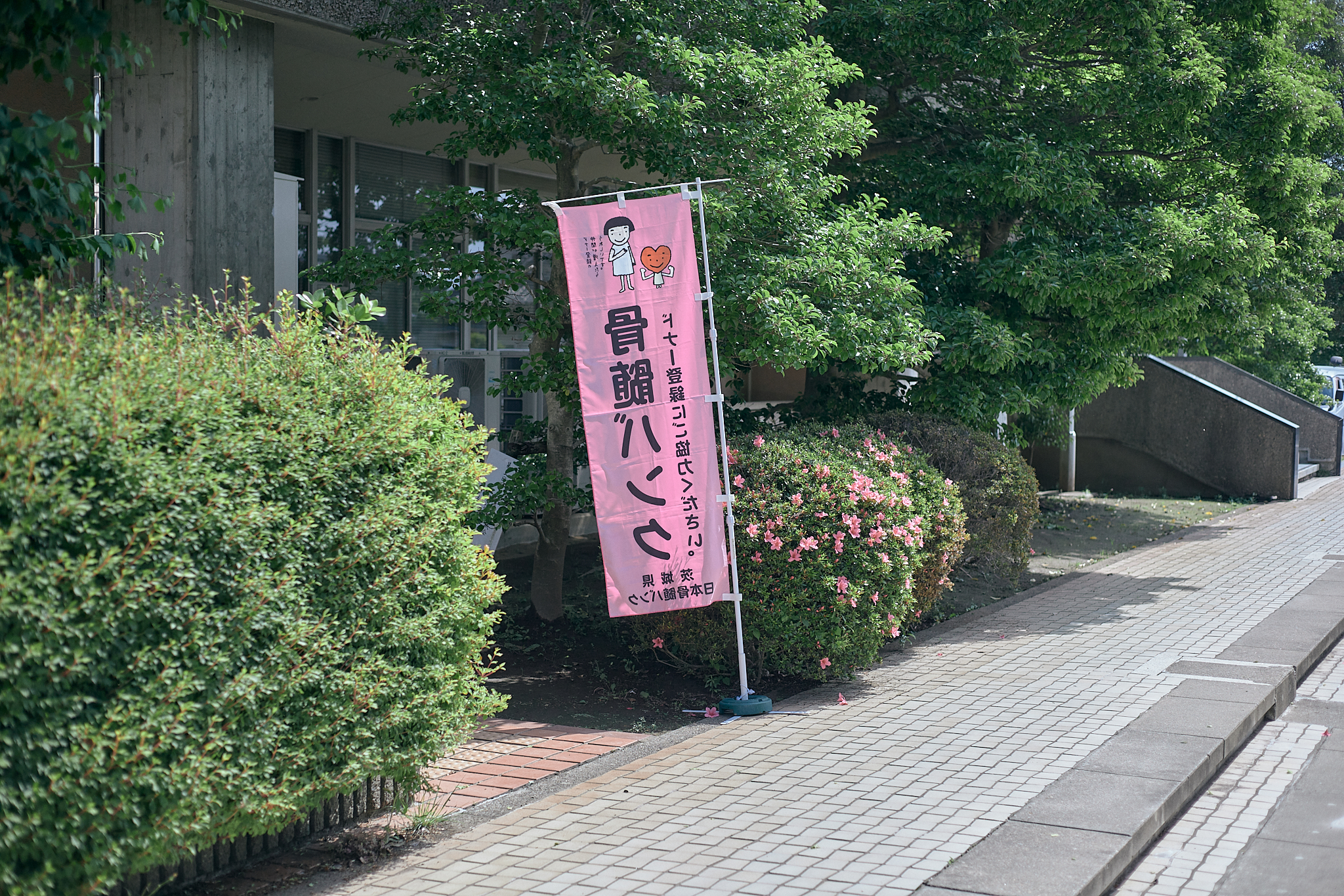 献血事業 ひたちなかベストライオンズクラブ 茨城 ひたちなか ライオンズクラブ