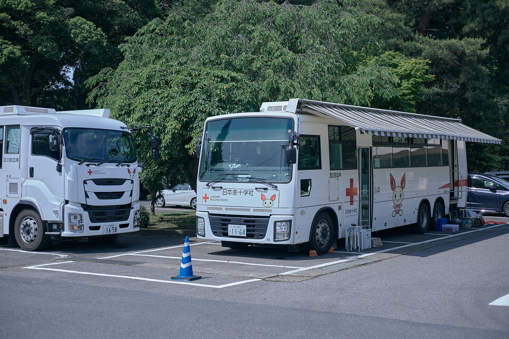 献血事業 ひたちなかベストライオンズクラブ 茨城 ひたちなか ライオンズクラブ