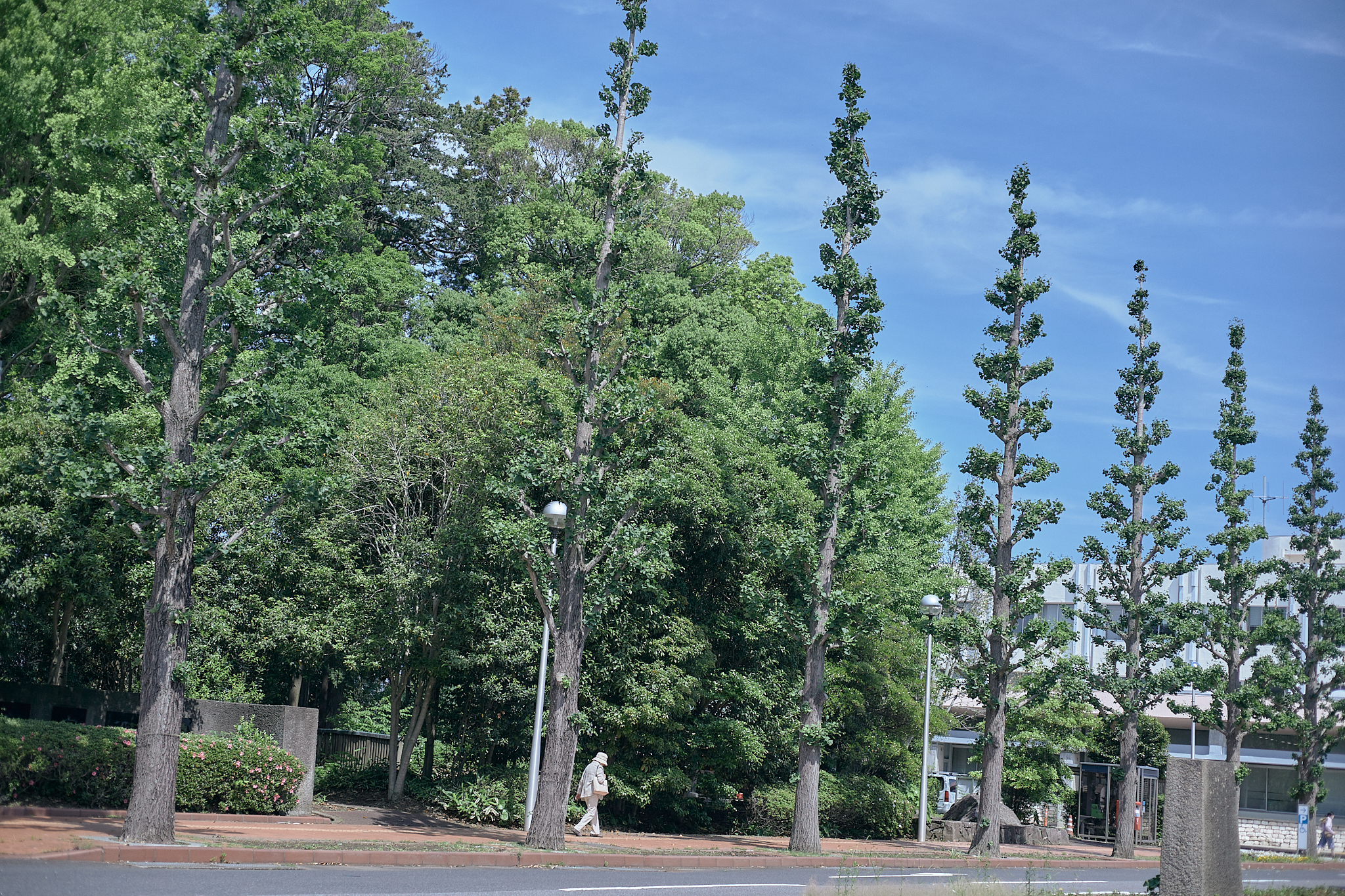 献血事業 ひたちなかベストライオンズクラブ 茨城 ひたちなか ライオンズクラブ