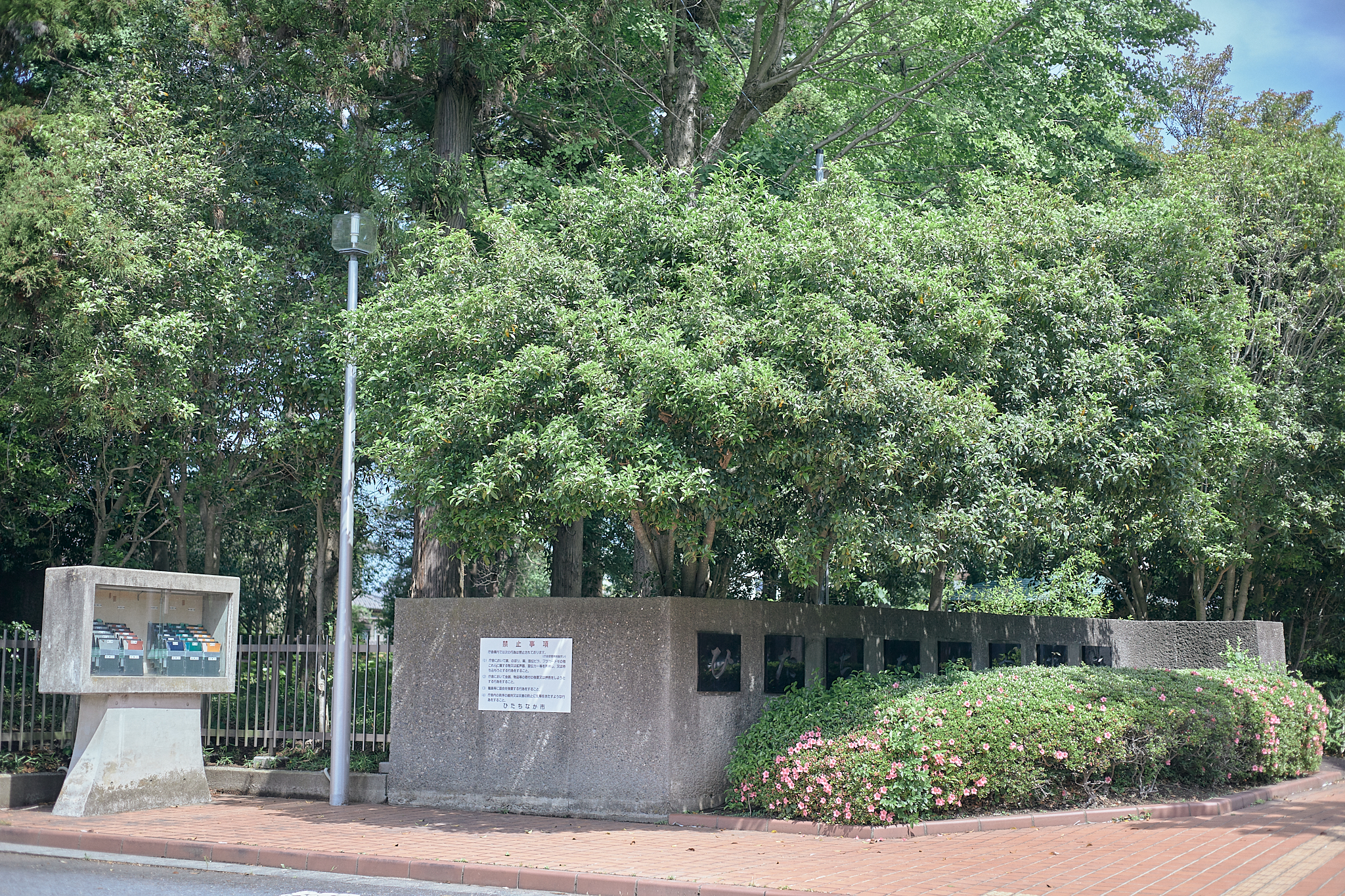 献血事業 ひたちなかベストライオンズクラブ 茨城 ひたちなか ライオンズクラブ