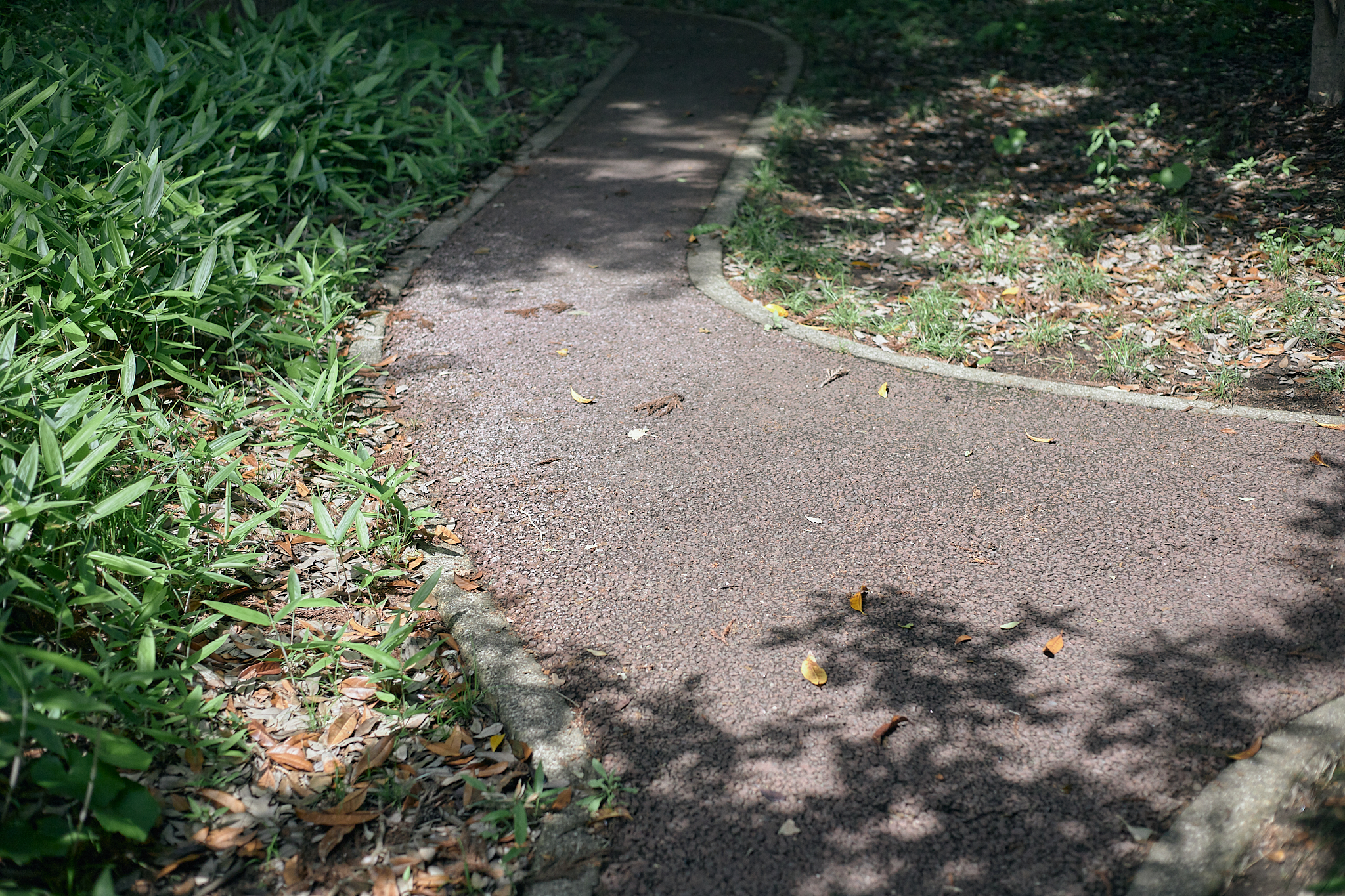 献血事業 ひたちなかベストライオンズクラブ 茨城 ひたちなか ライオンズクラブ