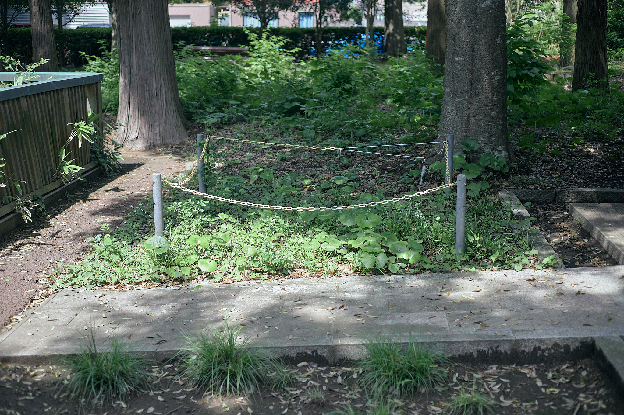 献血事業 ひたちなかベストライオンズクラブ 茨城 ひたちなか ライオンズクラブ