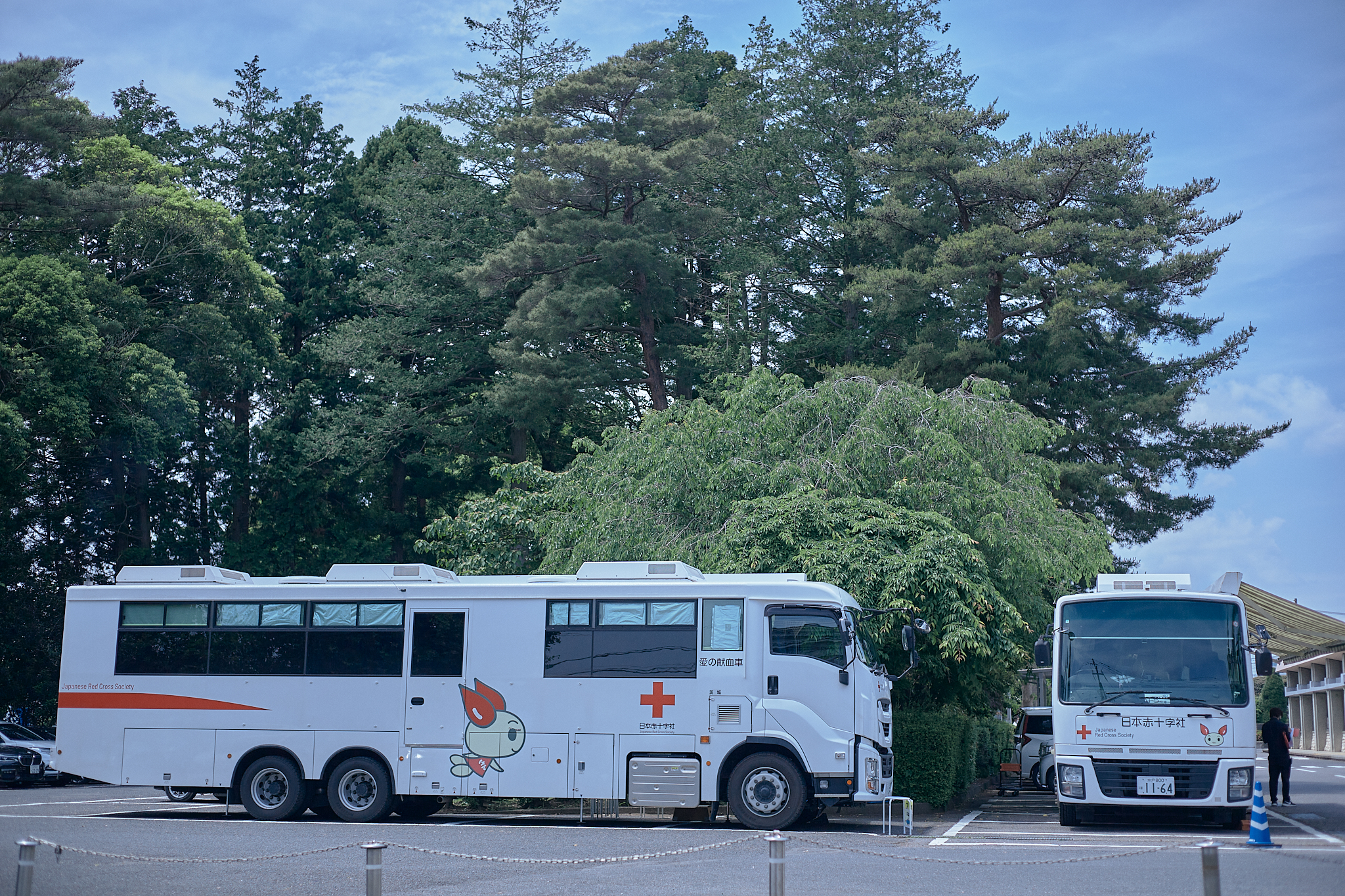 献血事業 ひたちなかベストライオンズクラブ 茨城 ひたちなか ライオンズクラブ