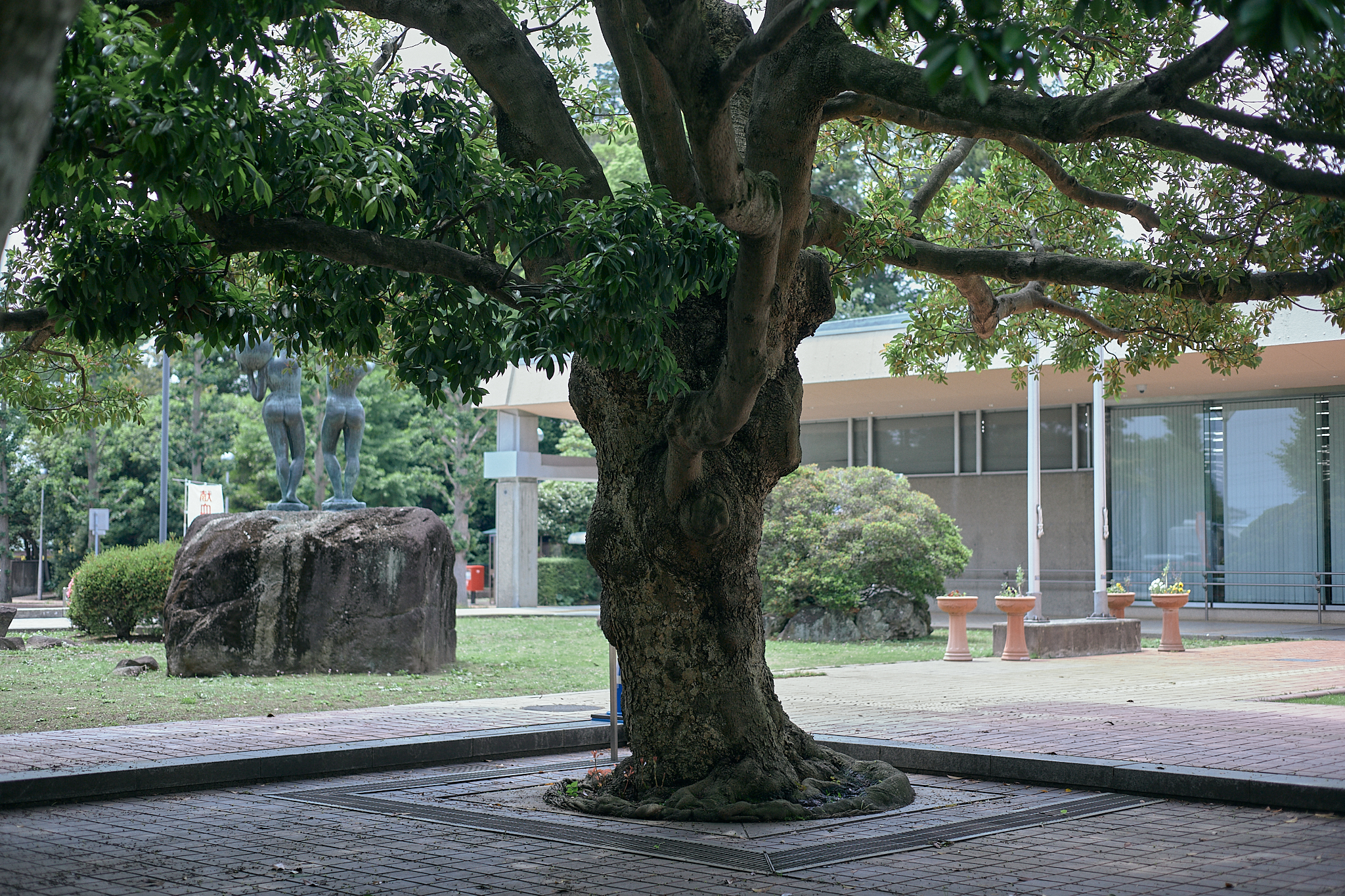 献血事業 ひたちなかベストライオンズクラブ 茨城 ひたちなか ライオンズクラブ