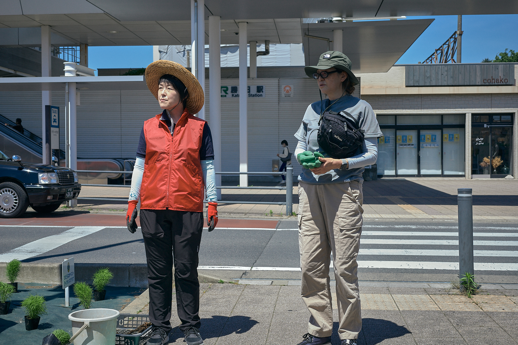 勝田駅前花壇コキア苗植え ひたちなかベストライオンズクラブ 茨城 ひたちなか ライオンズクラブ